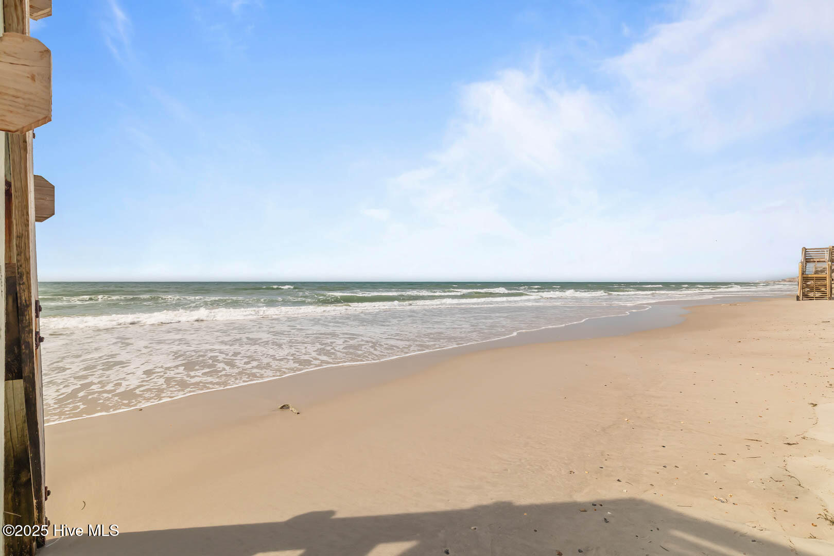 100505296 | Photo 38