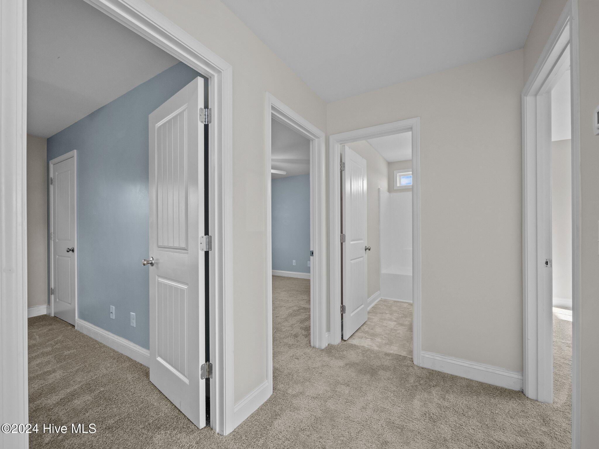 100567812 | Photo 17