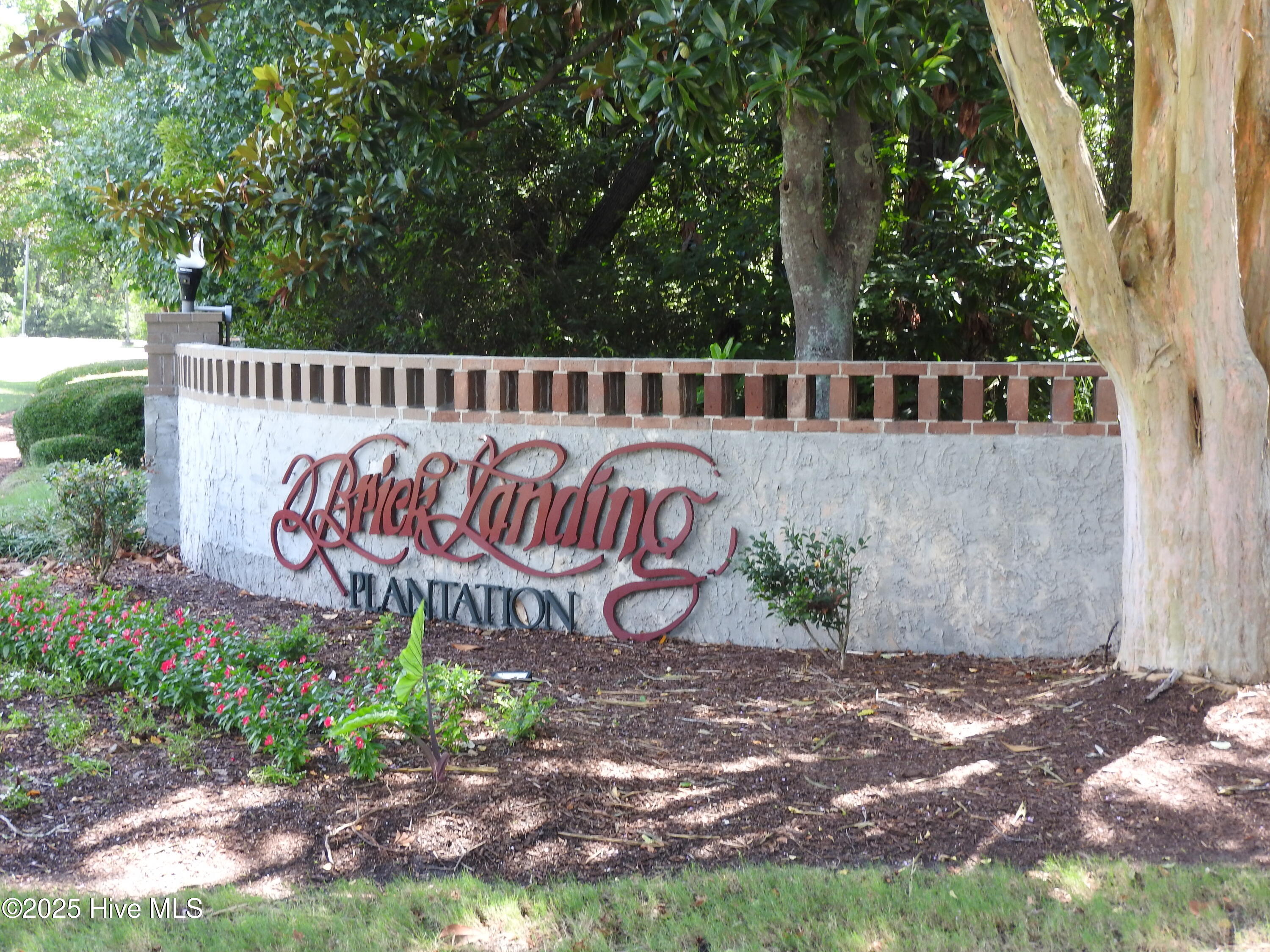 100520083 | Photo 62