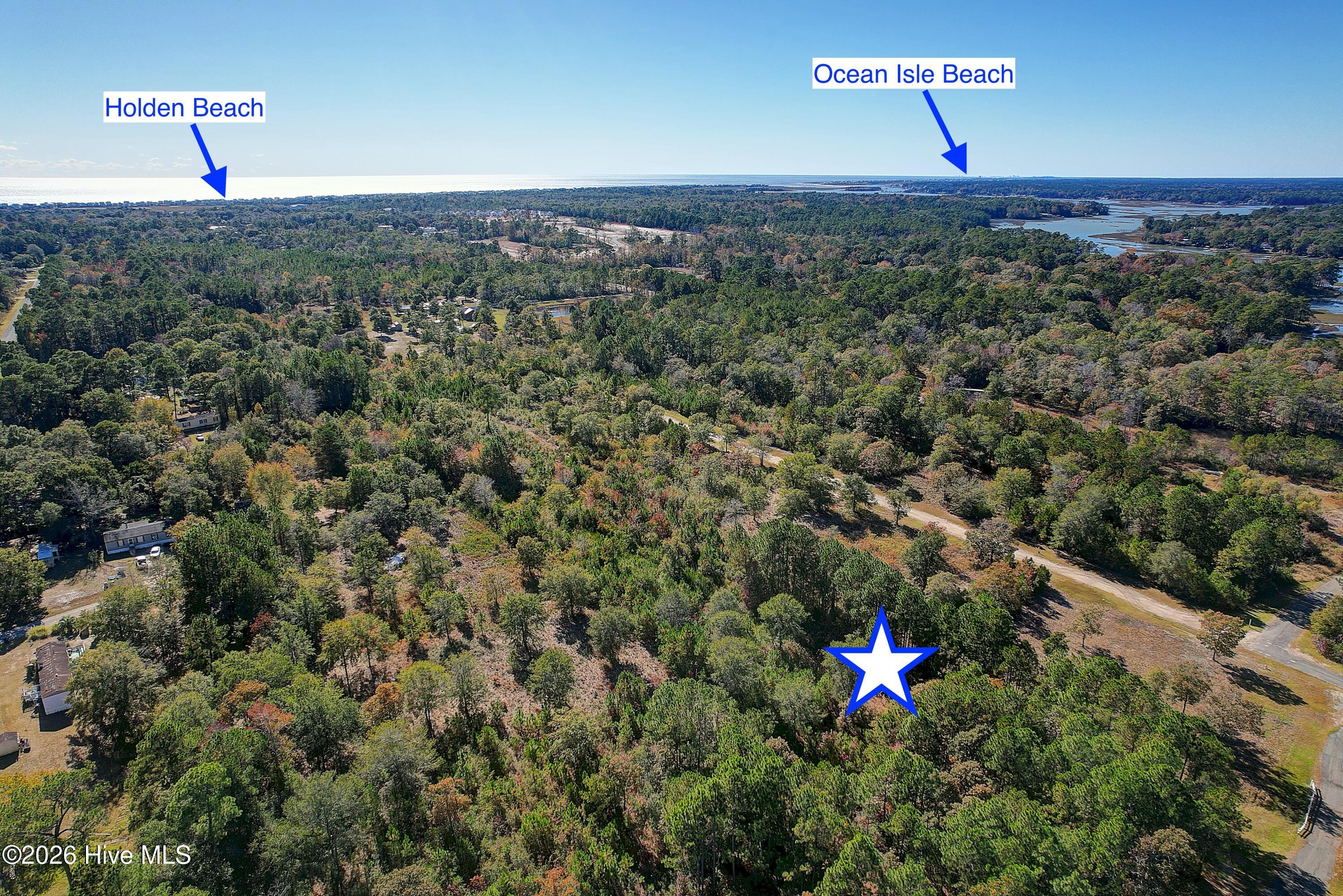 100556552 | Photo 10