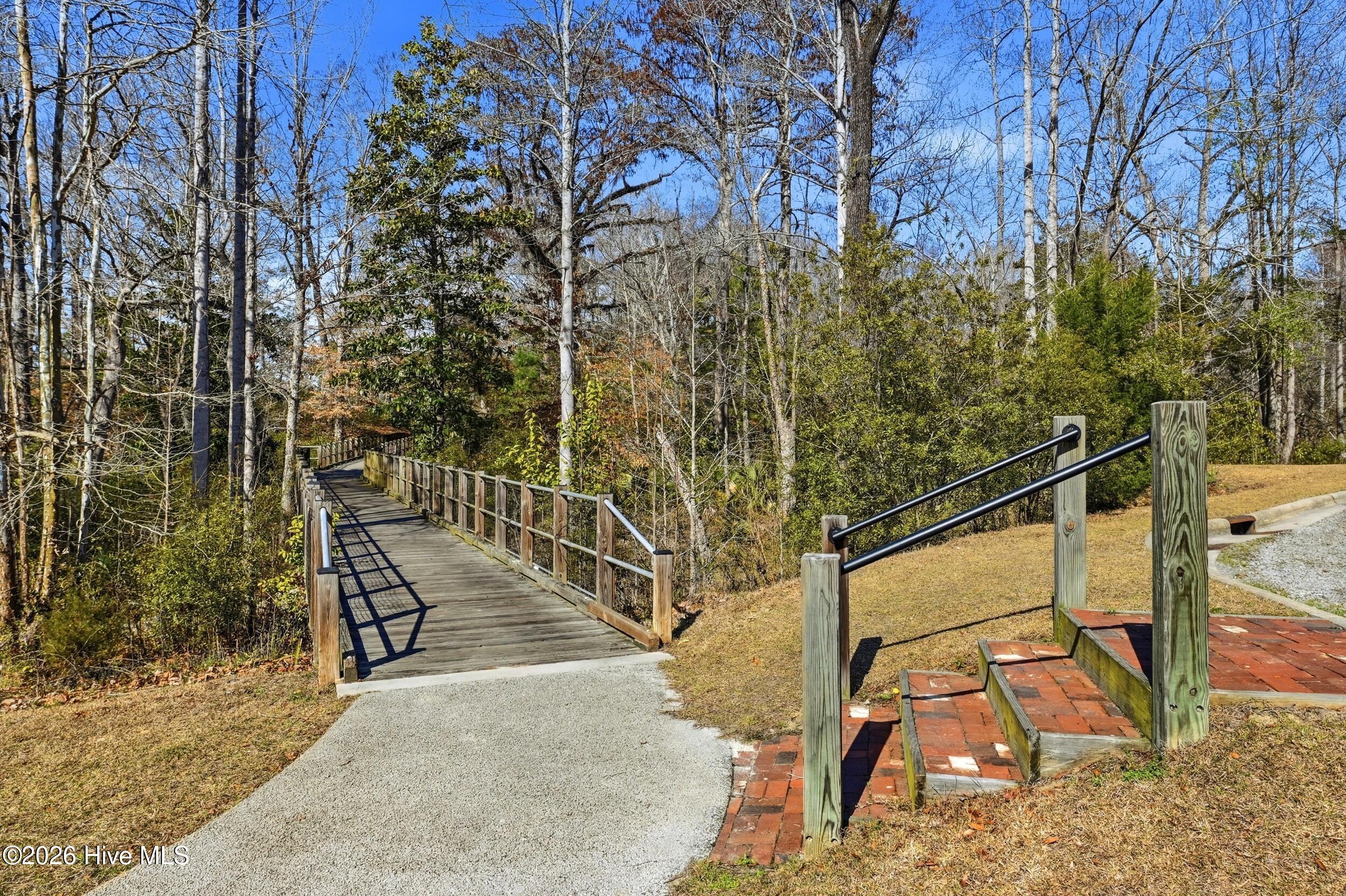 100560979 | Photo 70