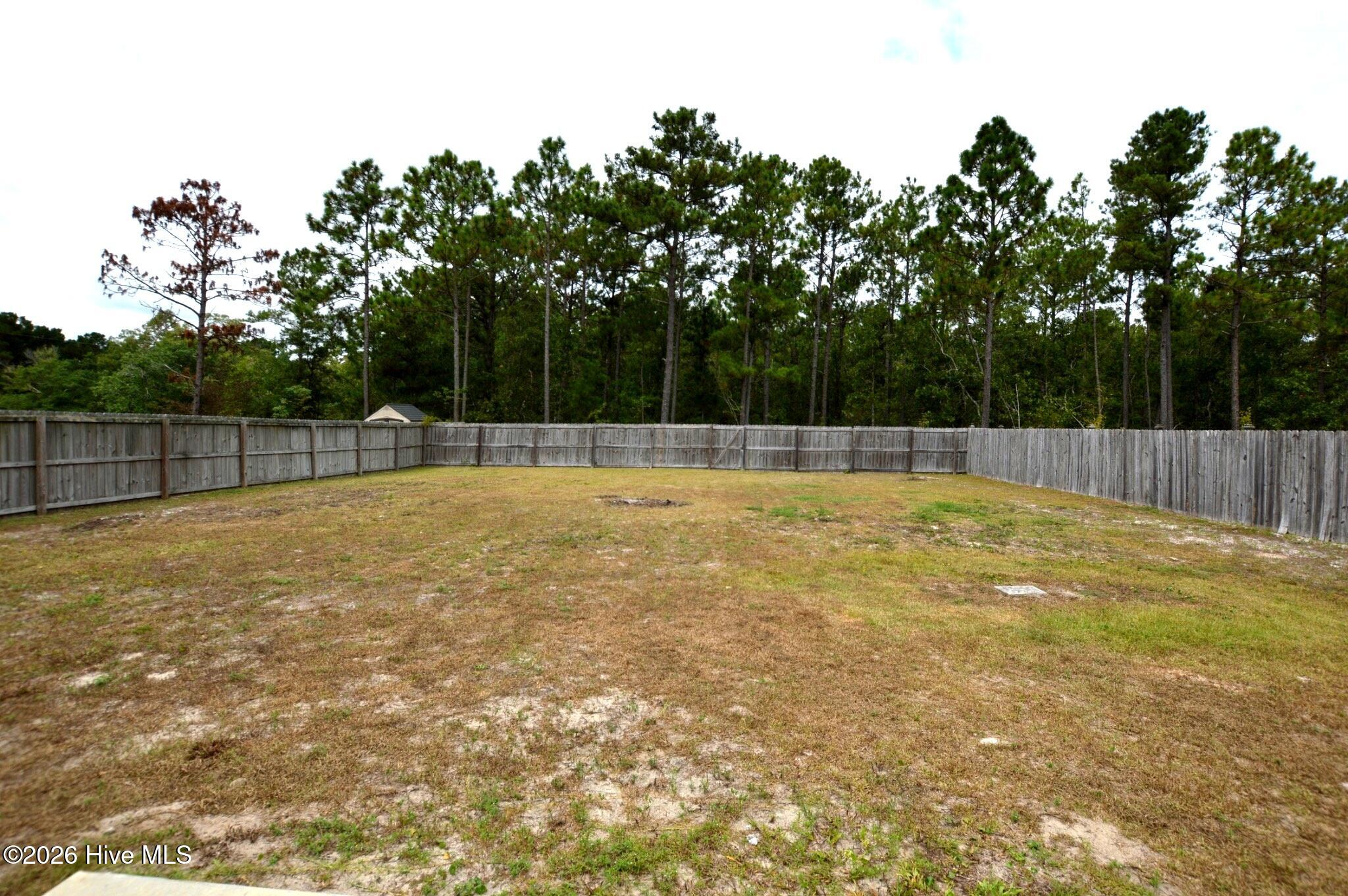 100559165 | Photo 18