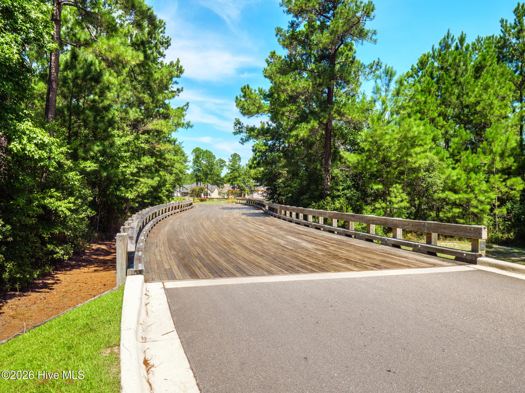 100567855 | Photo 95