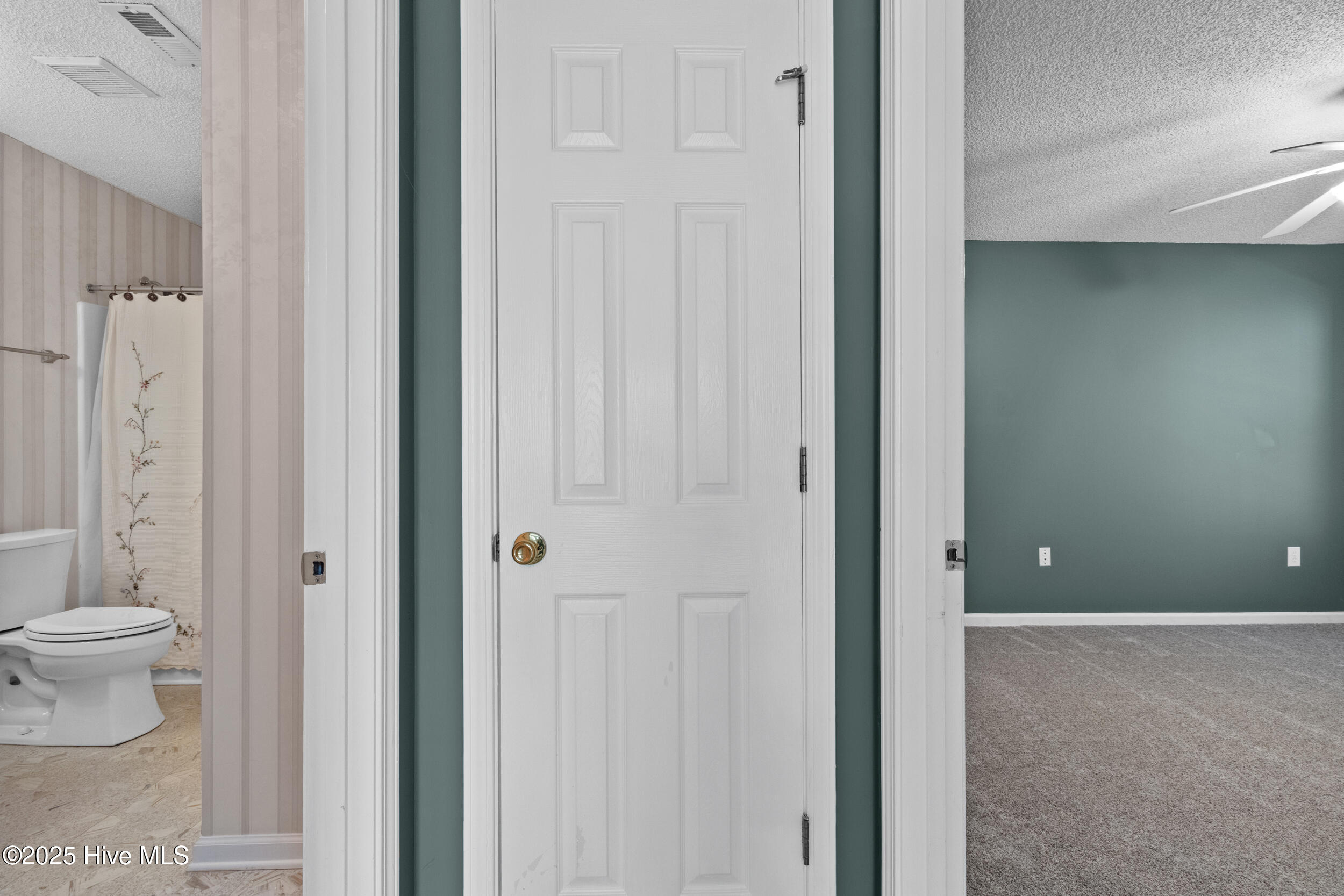 100528795 | Photo 14