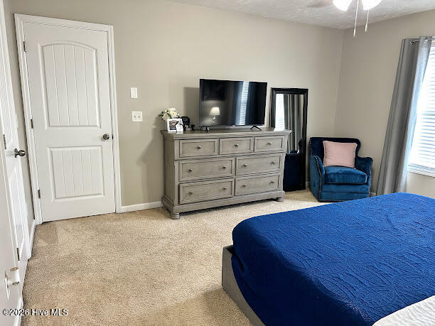 100560235 | Photo 44