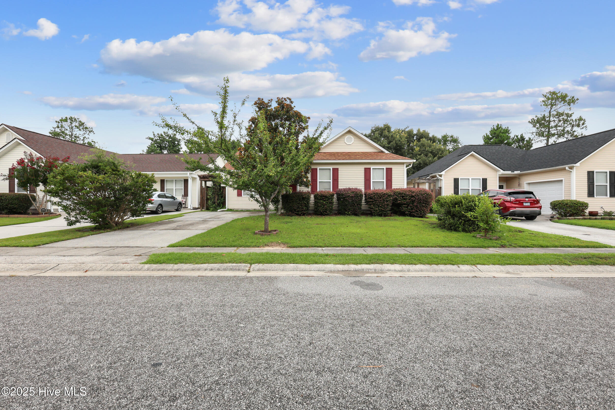 100520653 | Photo 18