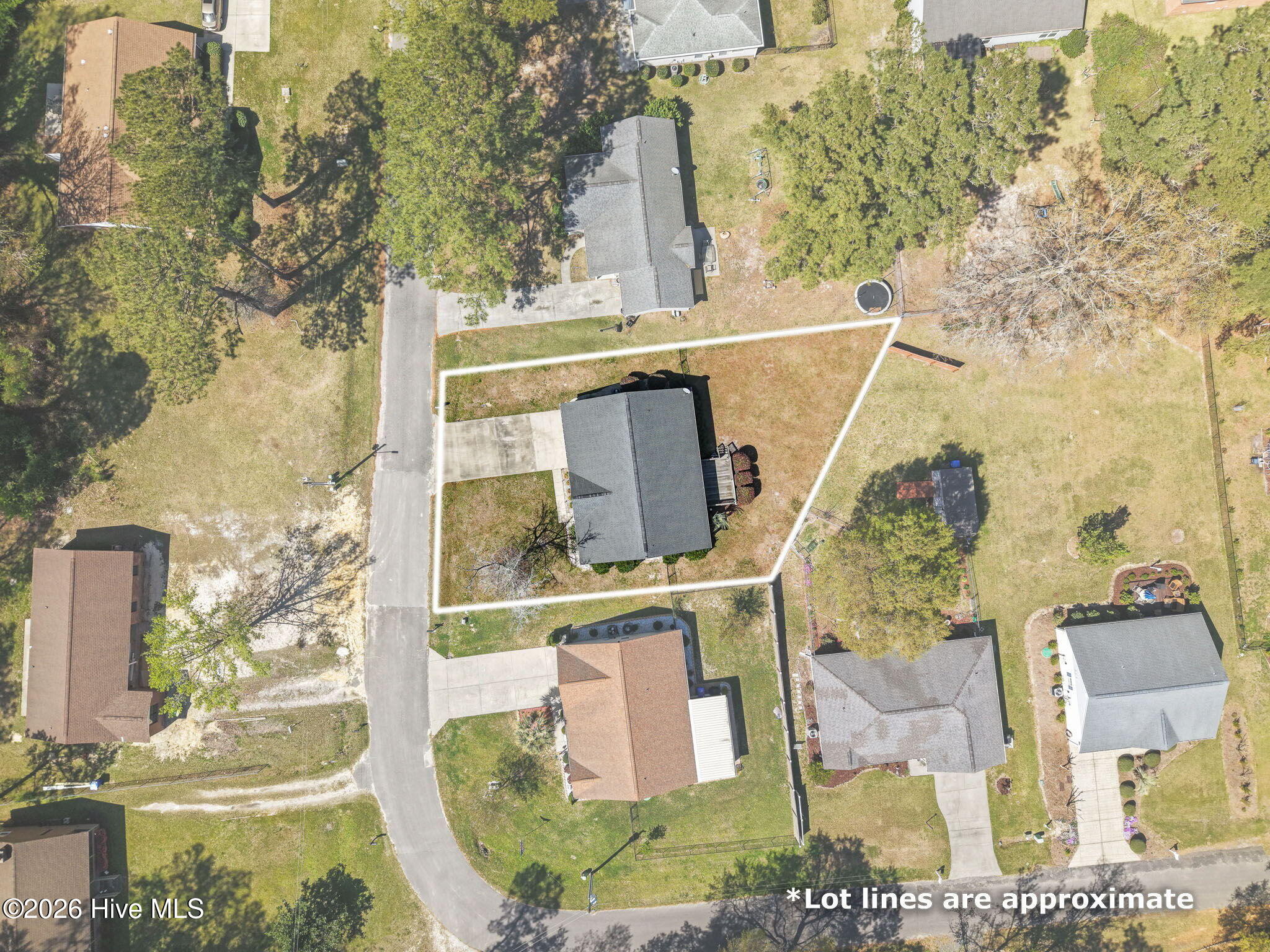 100564641 | Photo 39