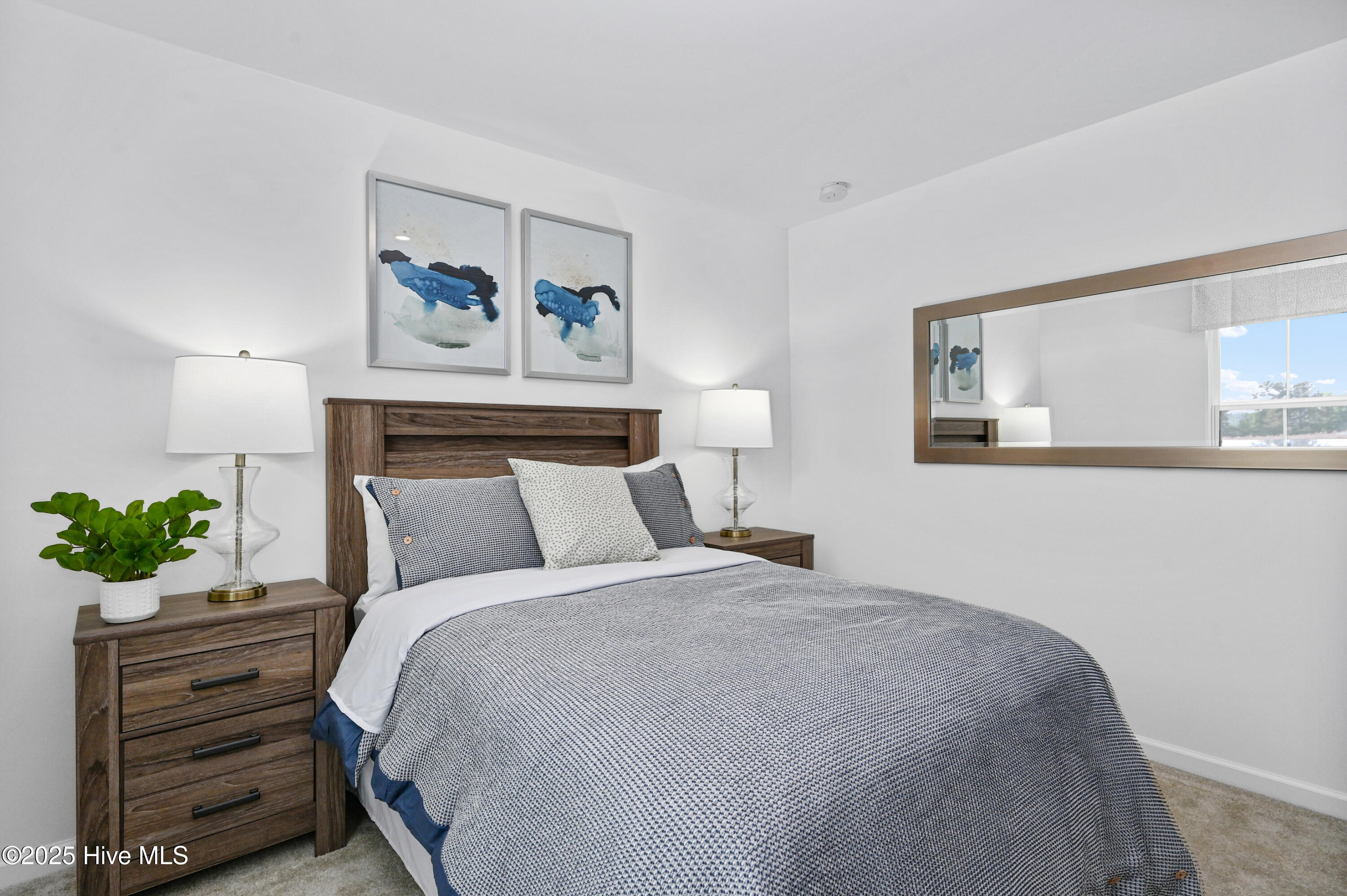 100566857 | Photo 15