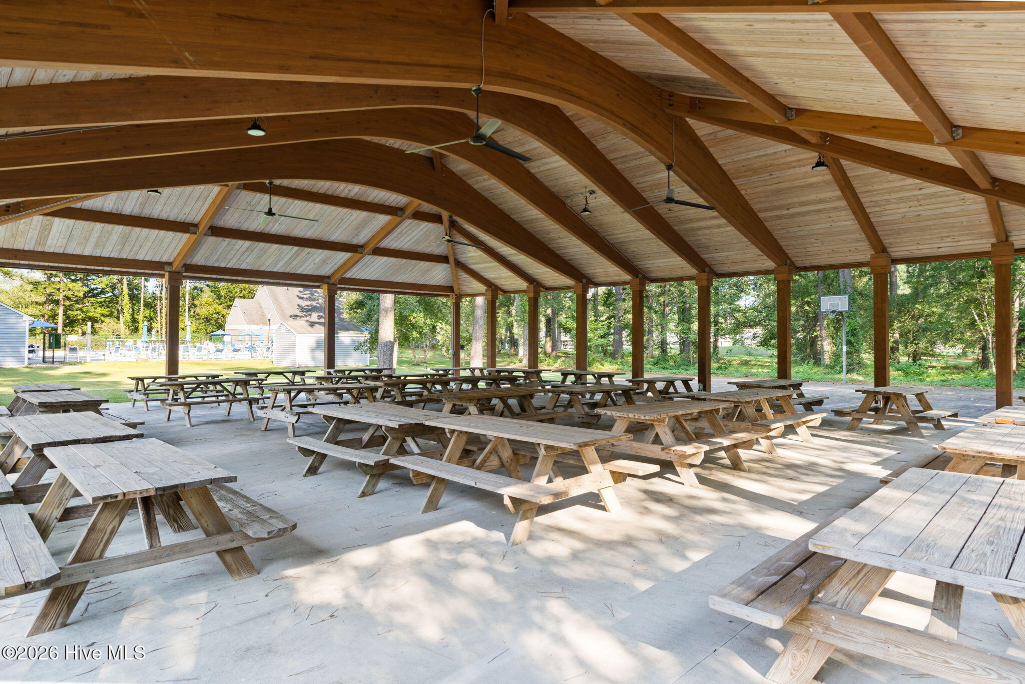 100564261 | Photo 49