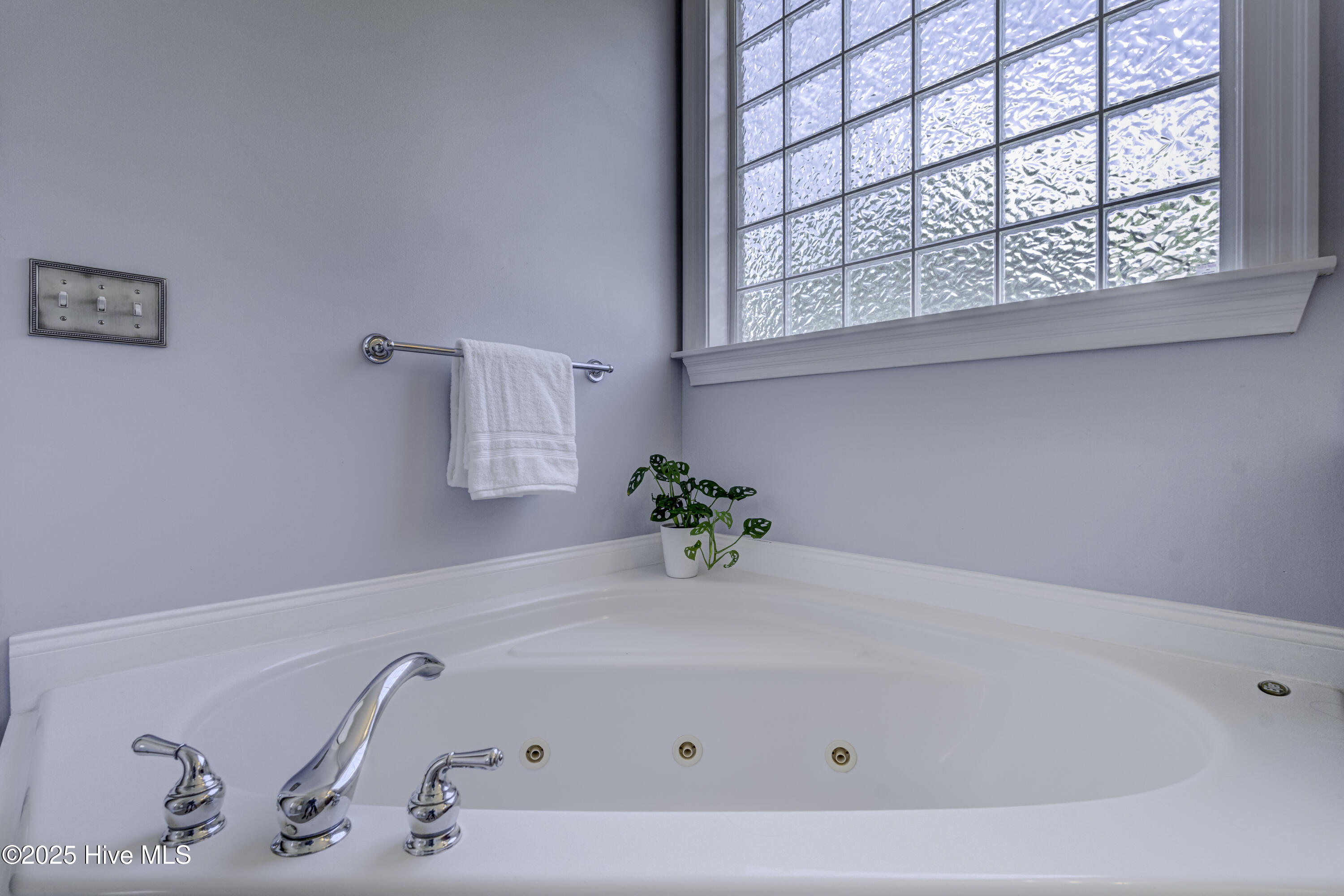 100535158 | Photo 39