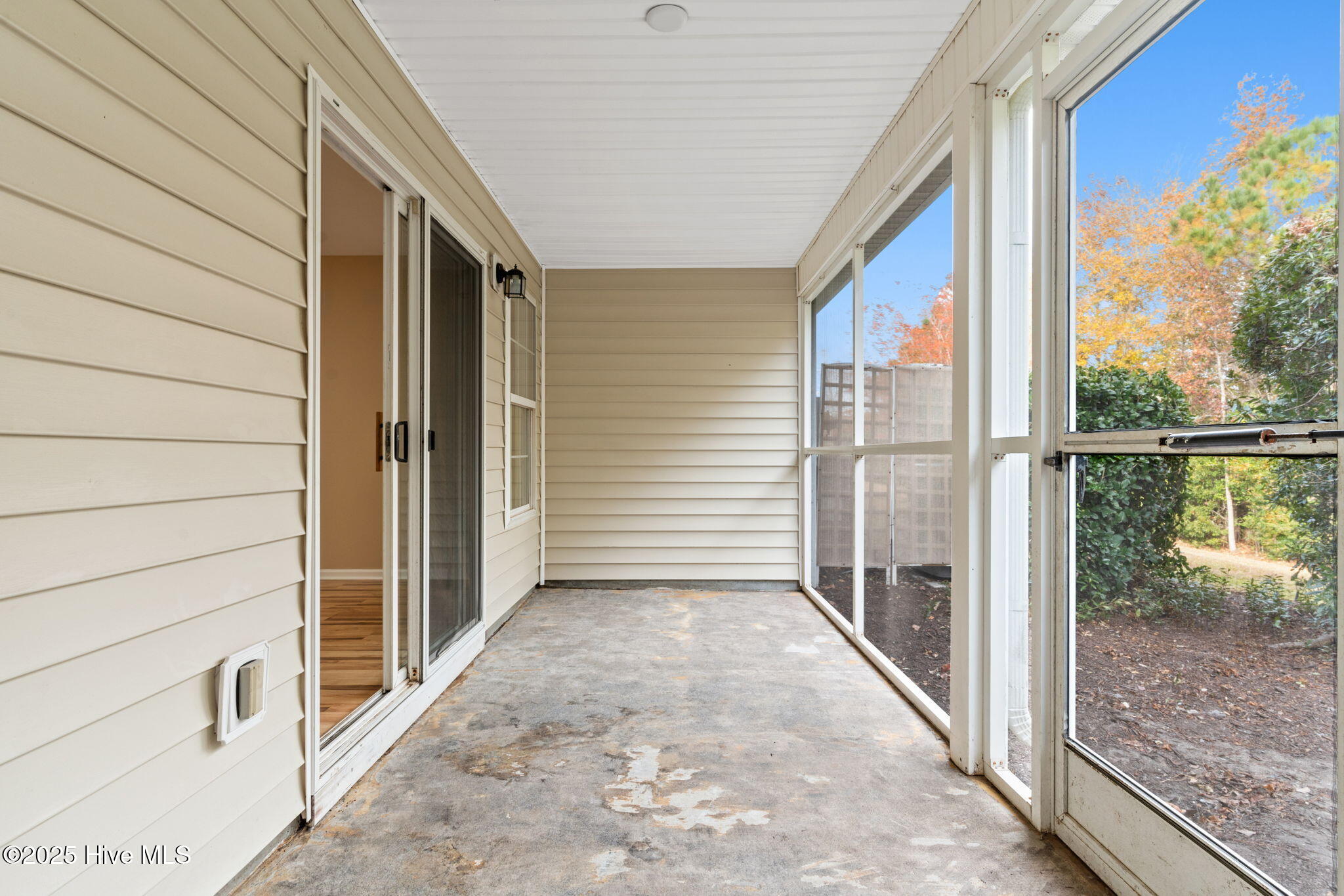 100542570 | Photo 43