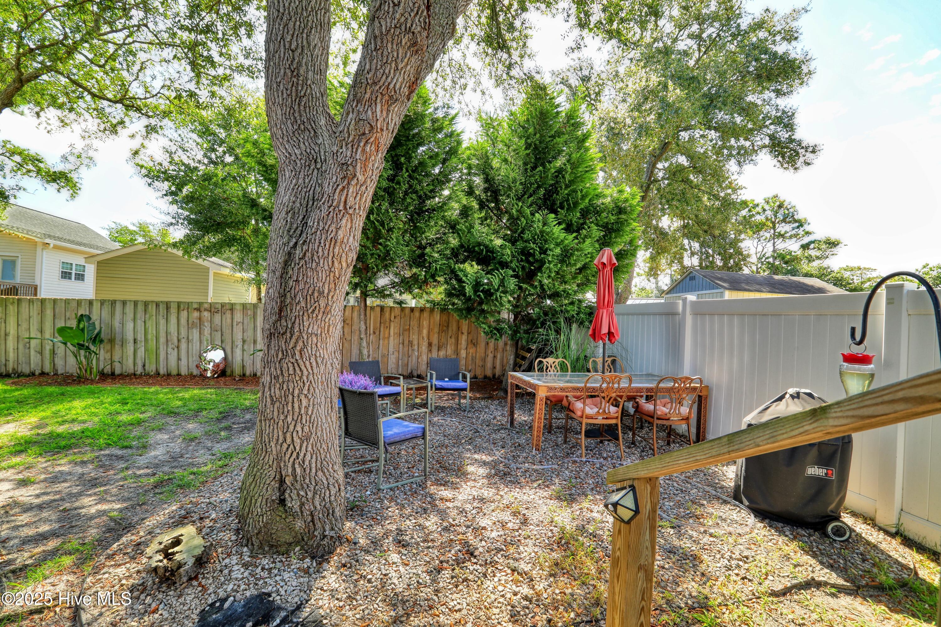 100523297 | Photo 23