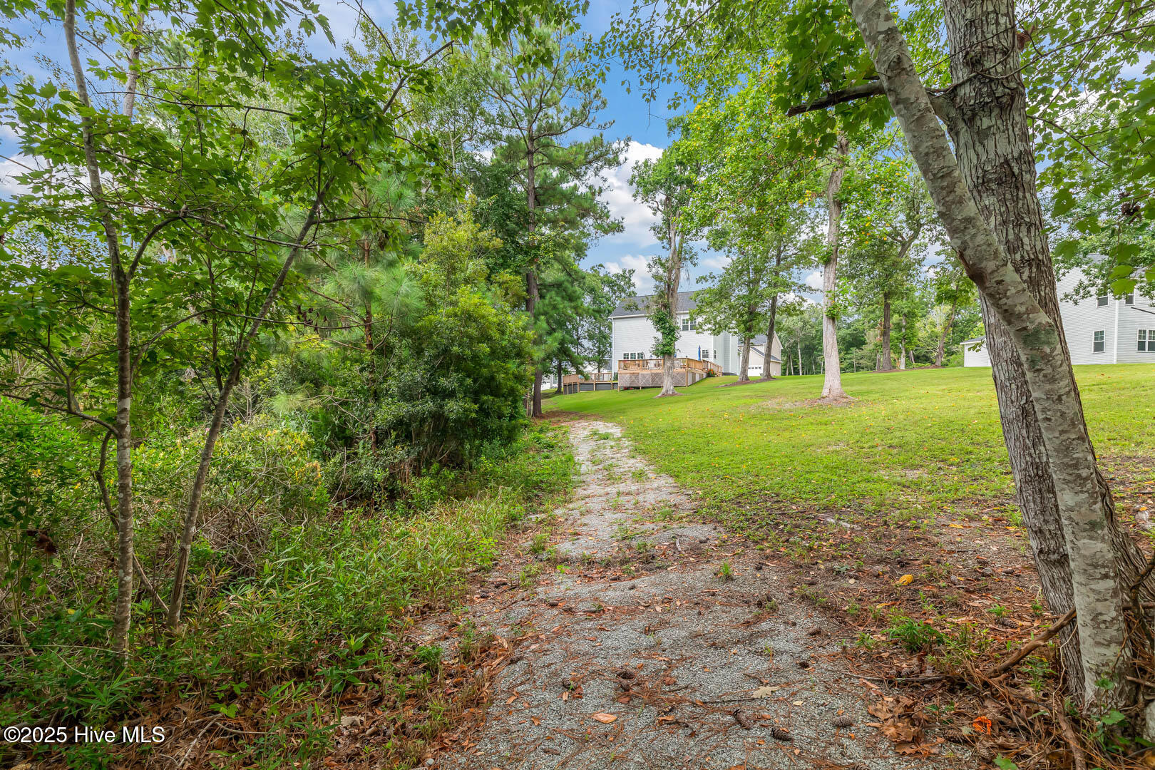 100544097 | Photo 69