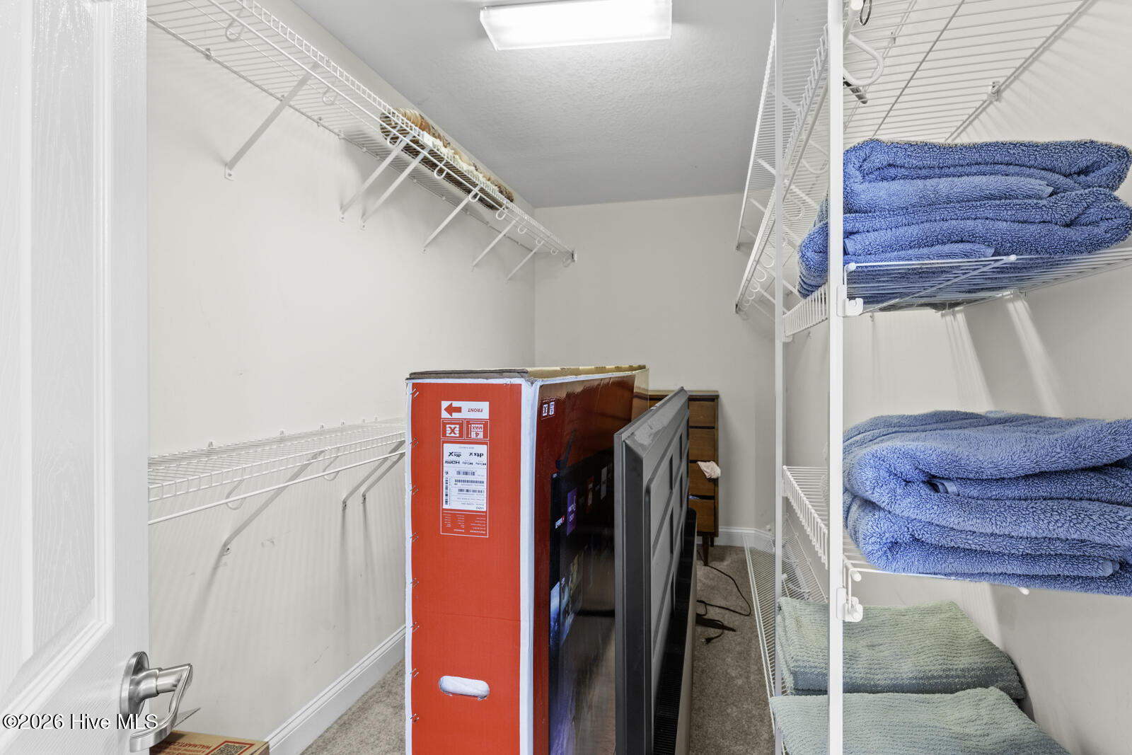 100564788 | Photo 25