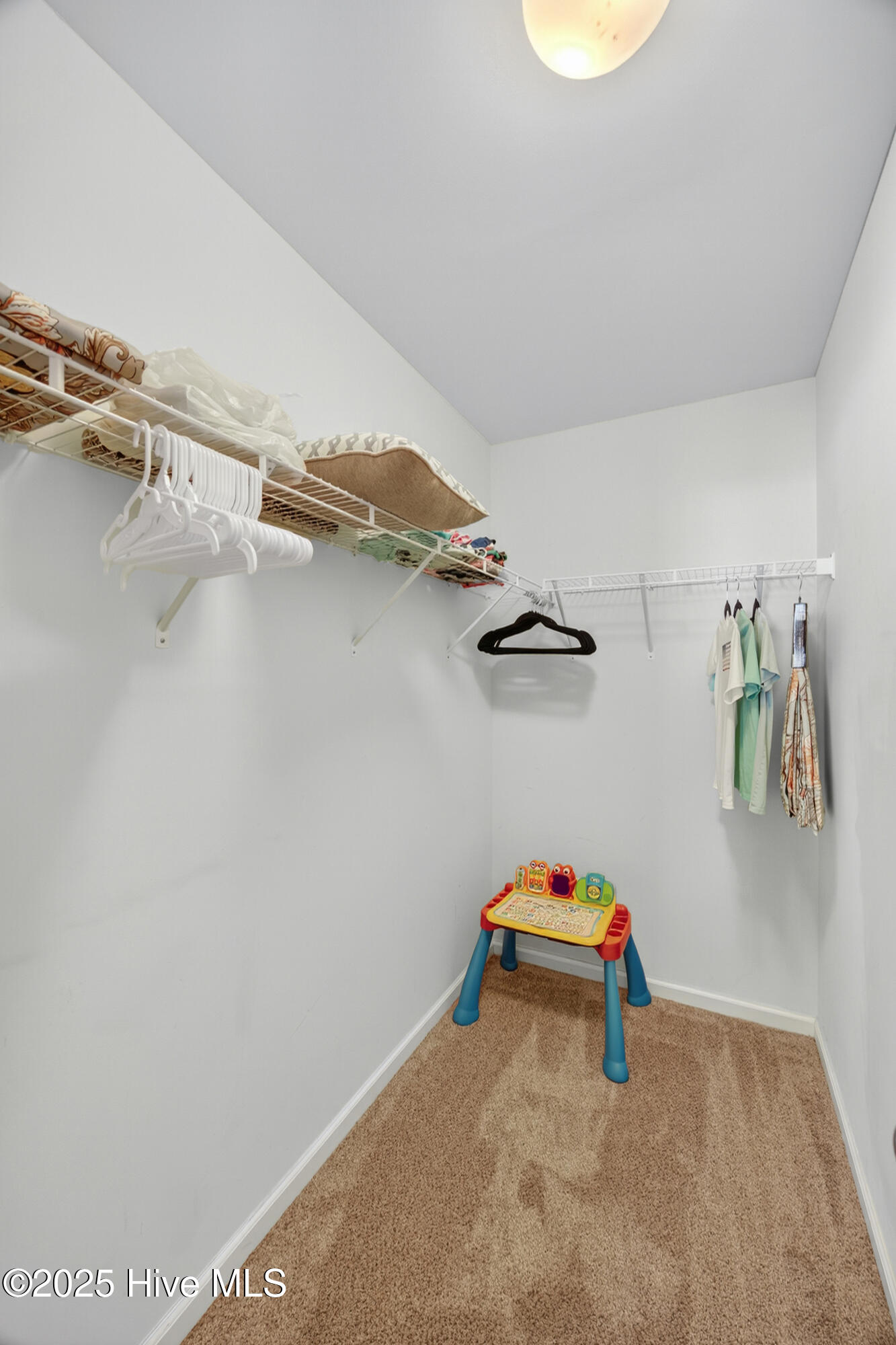 100540522 | Photo 35