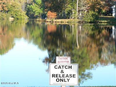 100522536 | Photo 22