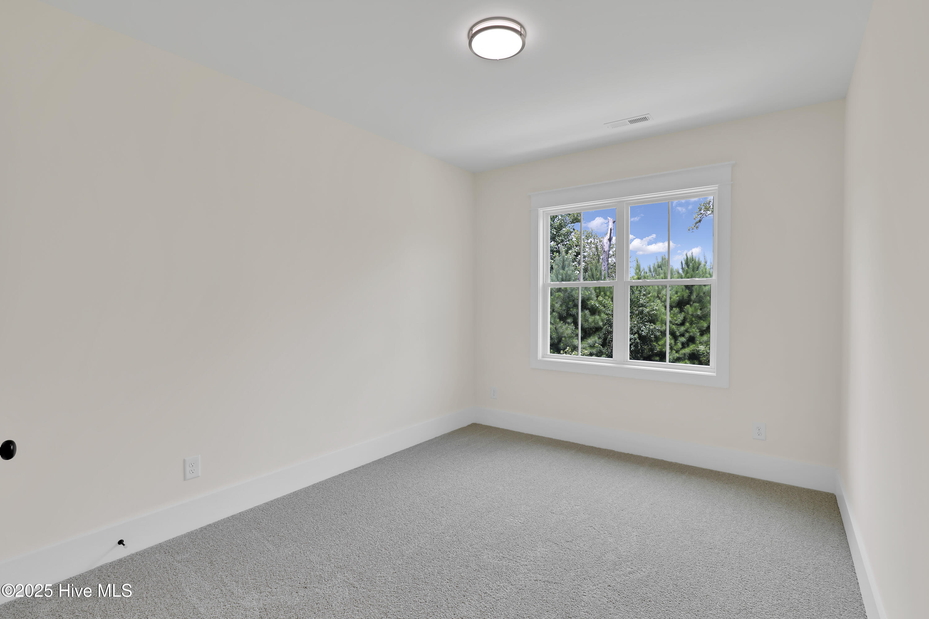 100525634 | Photo 25