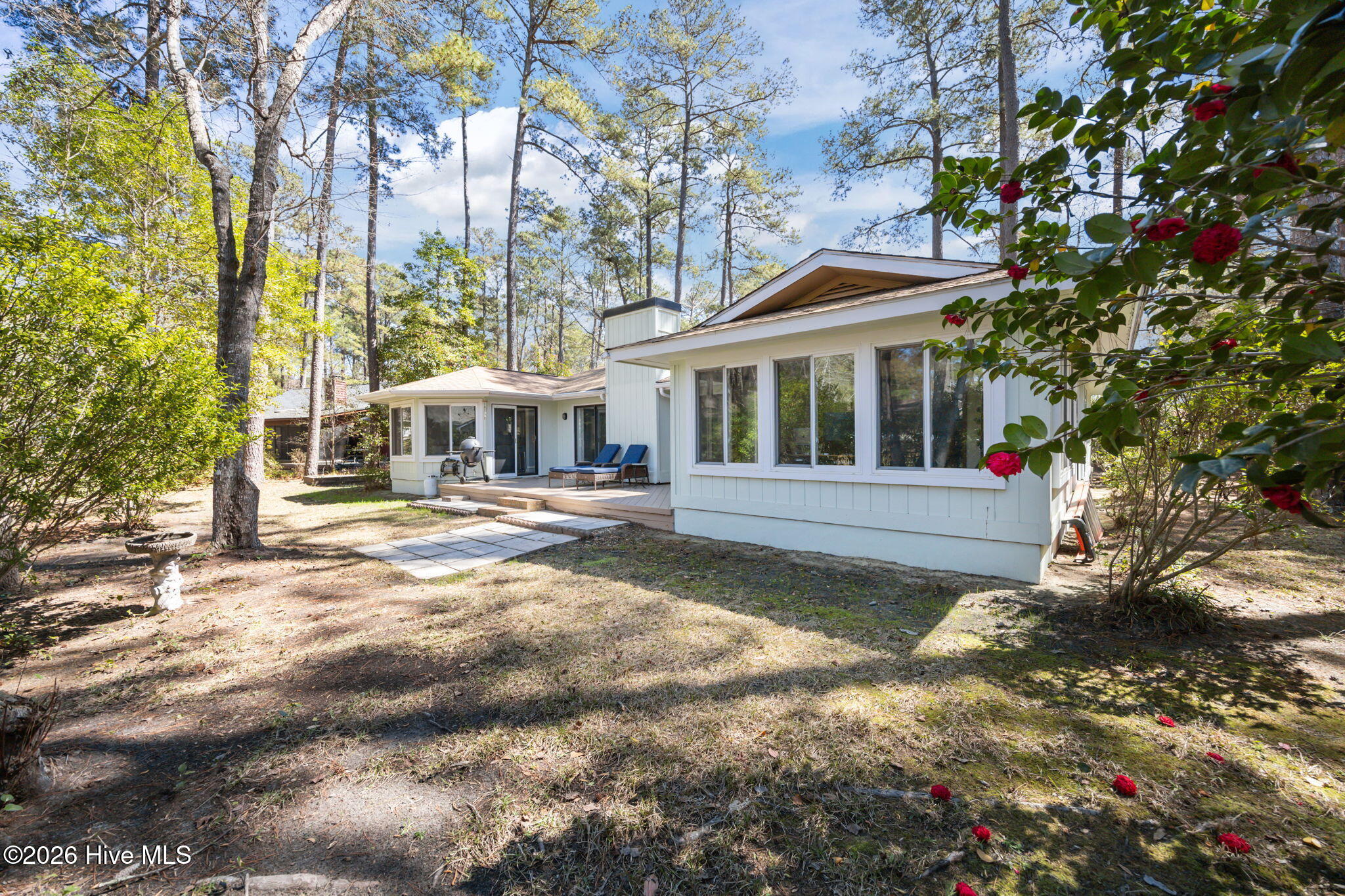 100561214 | Photo 34