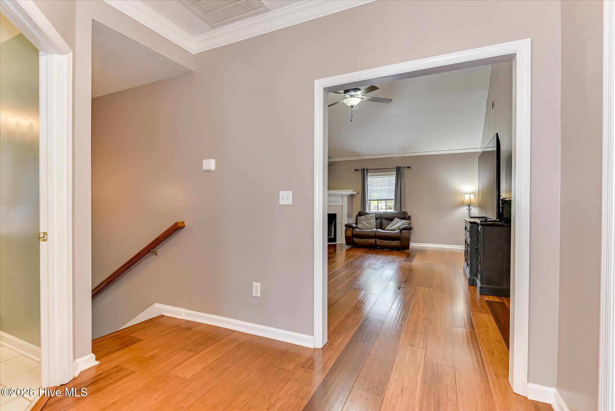 Entry and half flight stairs leading to garage and Guest suite.