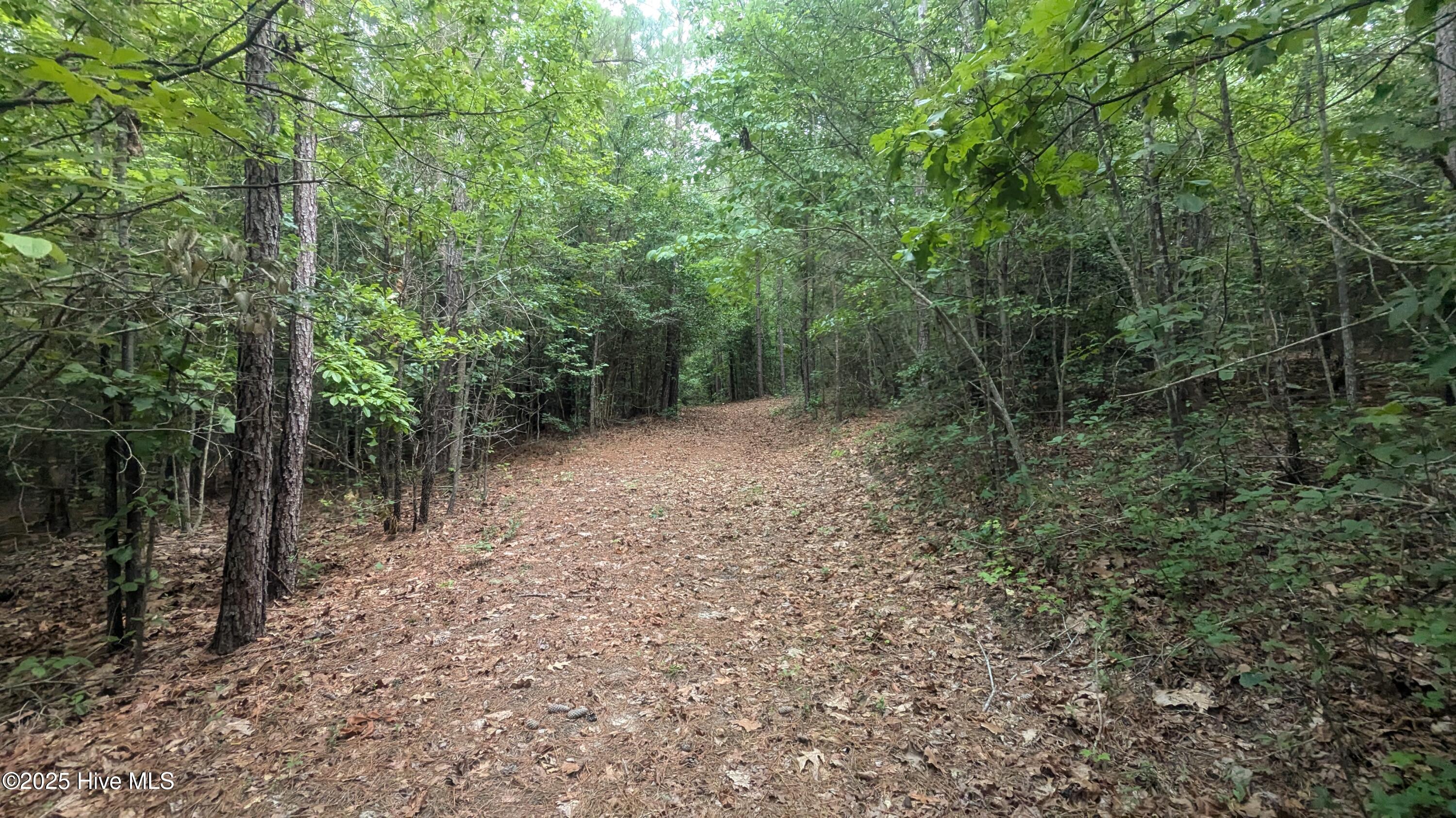 Tbd Line Road, Cameron, NC, 28326