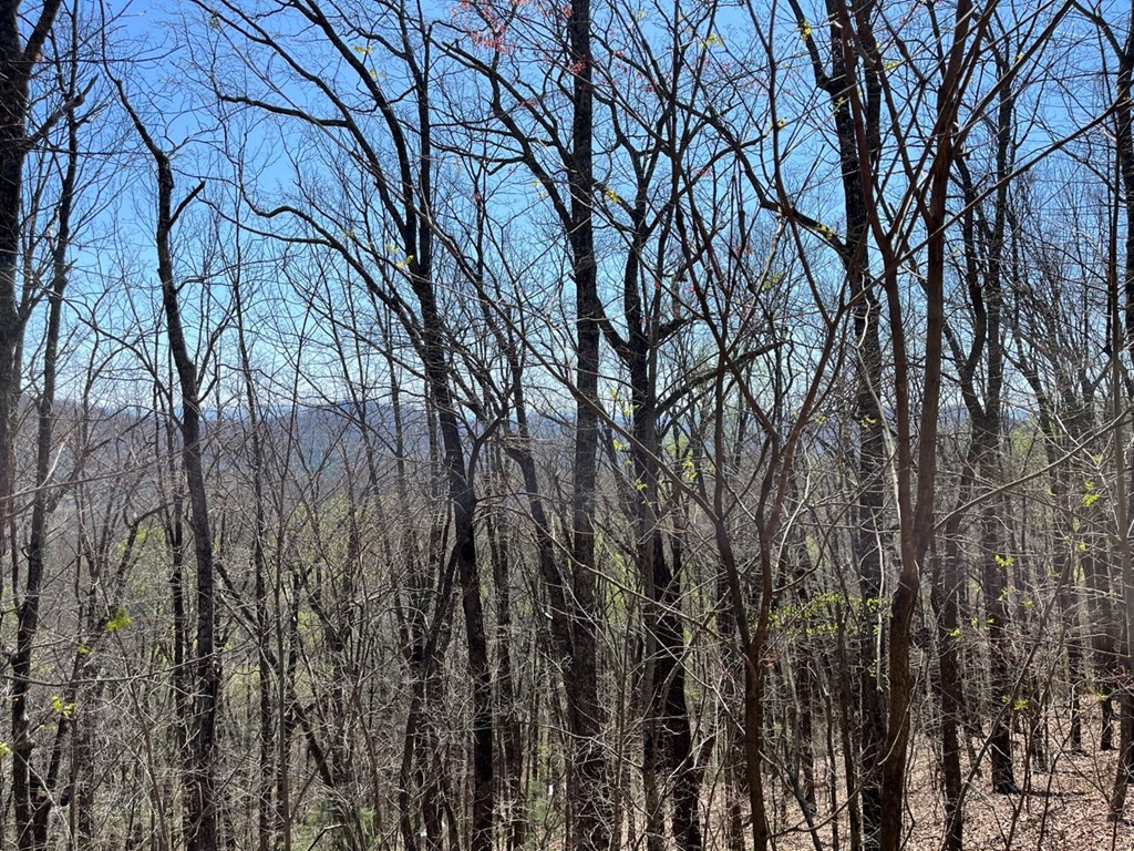 Exterior photo of Lot 76 Turkey Pen Drive, Murphy, NC 28906. MLS: 98543260