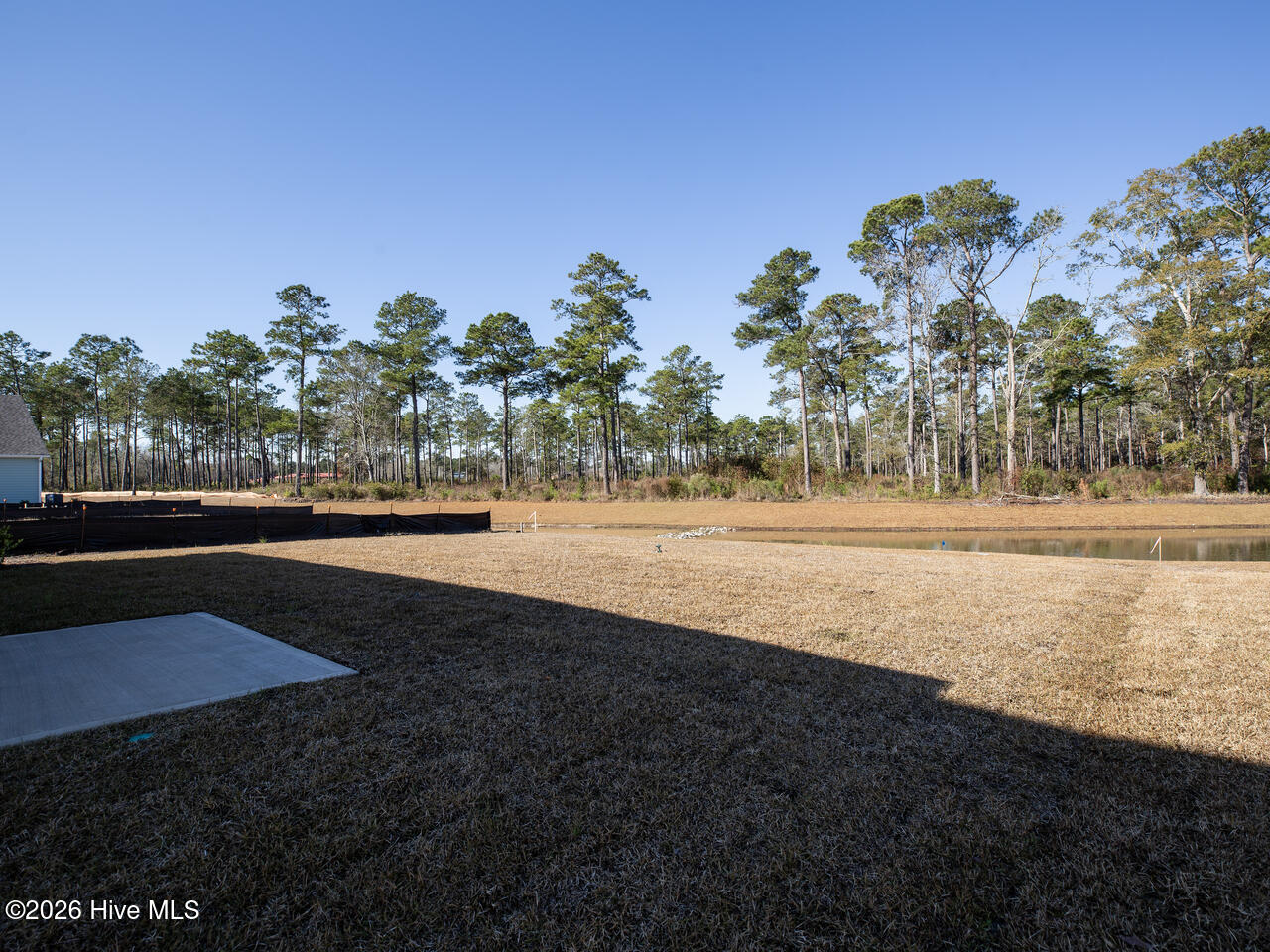 100530535 | Photo 45