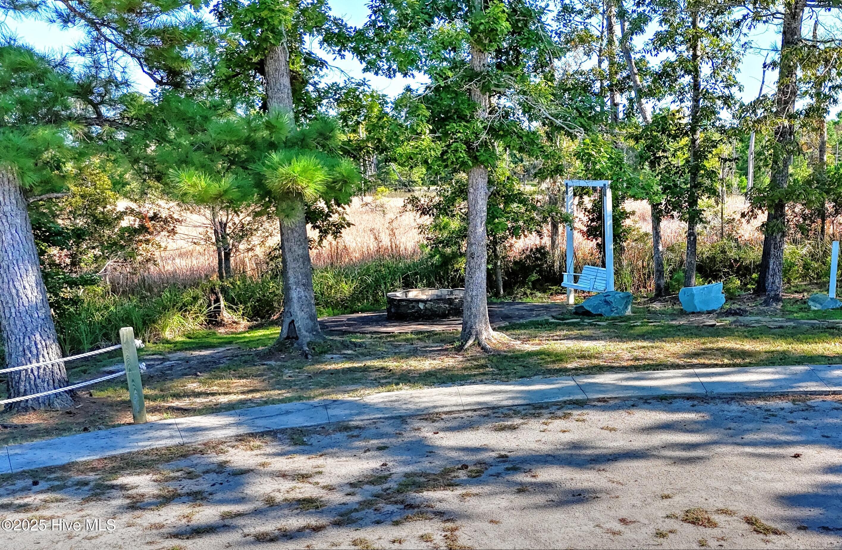 100529568 | Photo 52