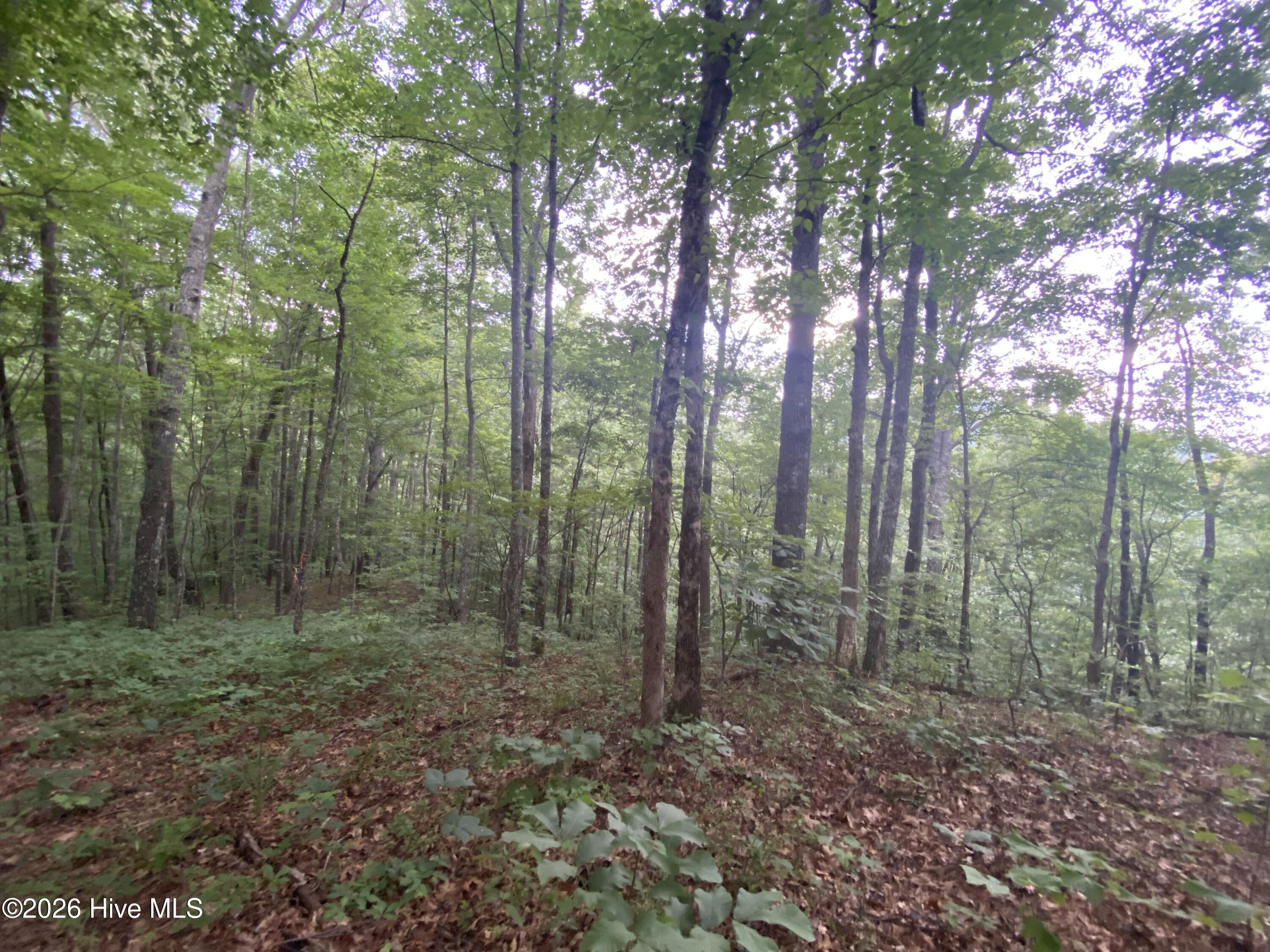 Exterior photo of 0 Red Bird Drive, Hayesville, NC 28904. MLS: 100592181