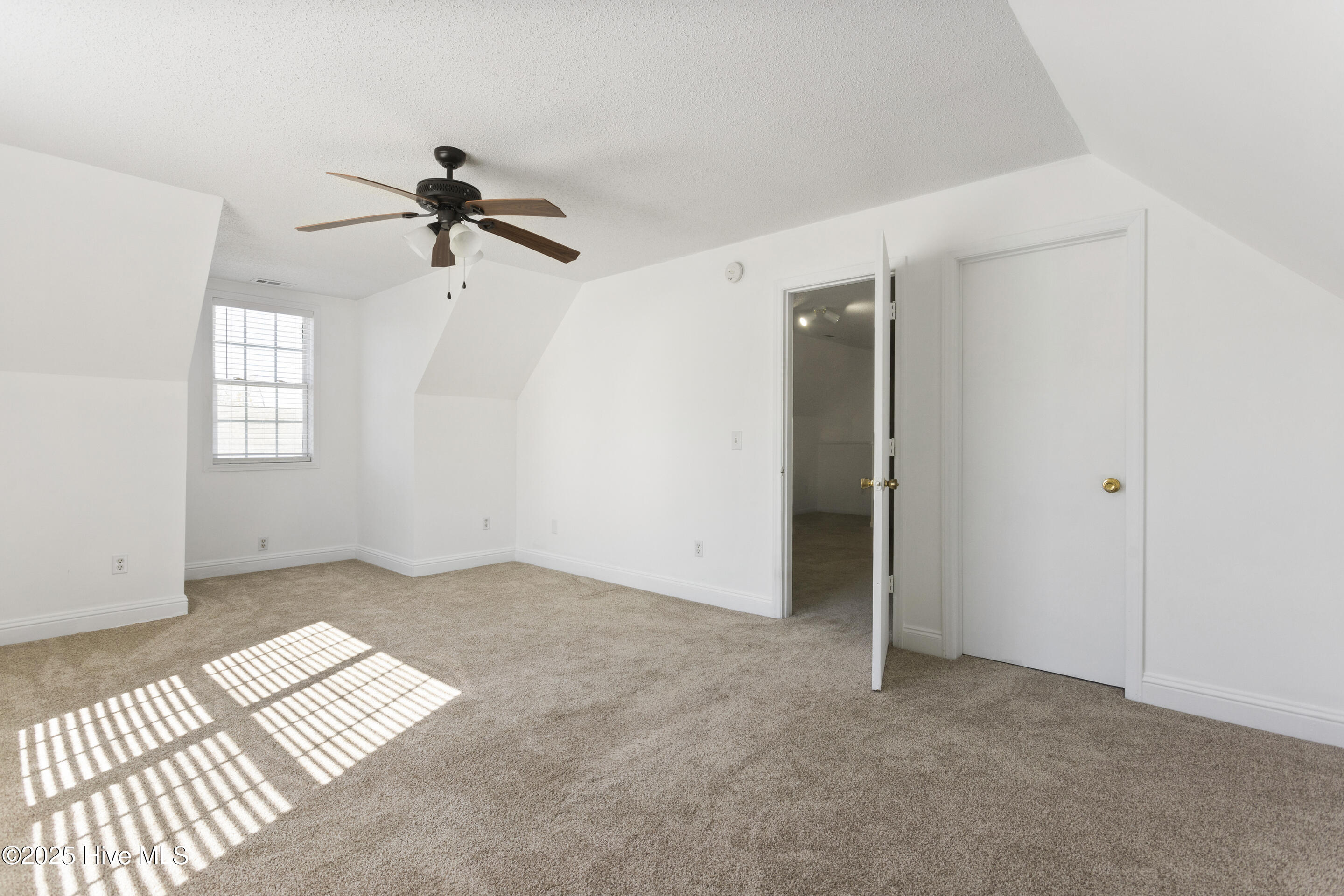 100548338 | Photo 35