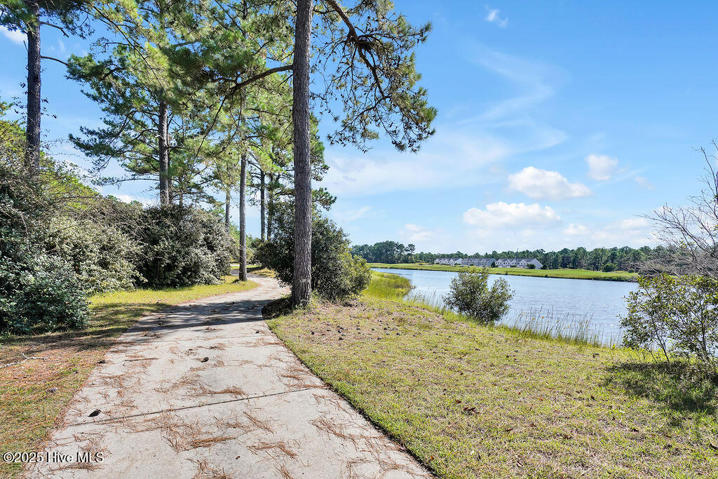 100535984 | Photo 111