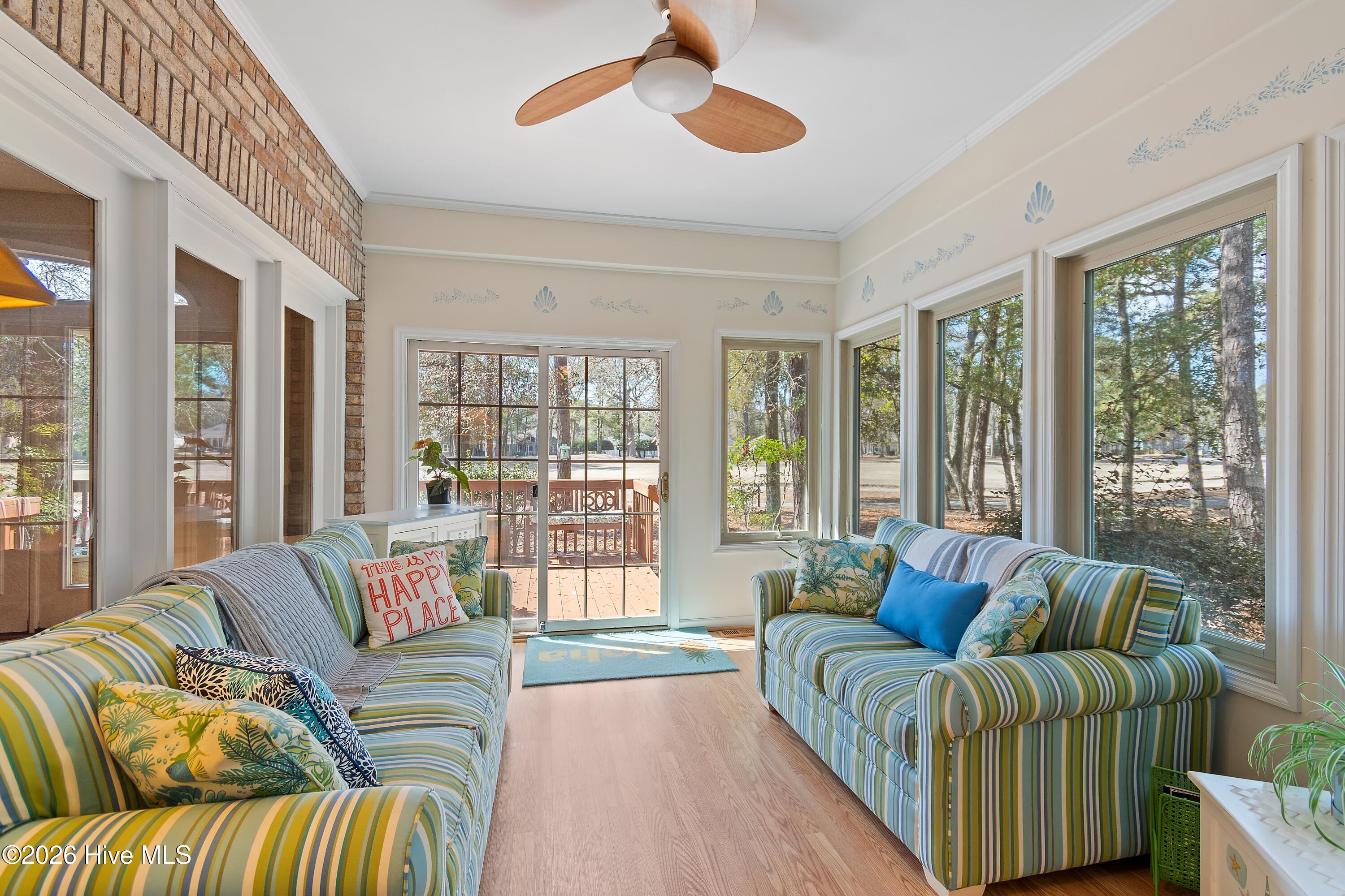 100558651 | Photo 24