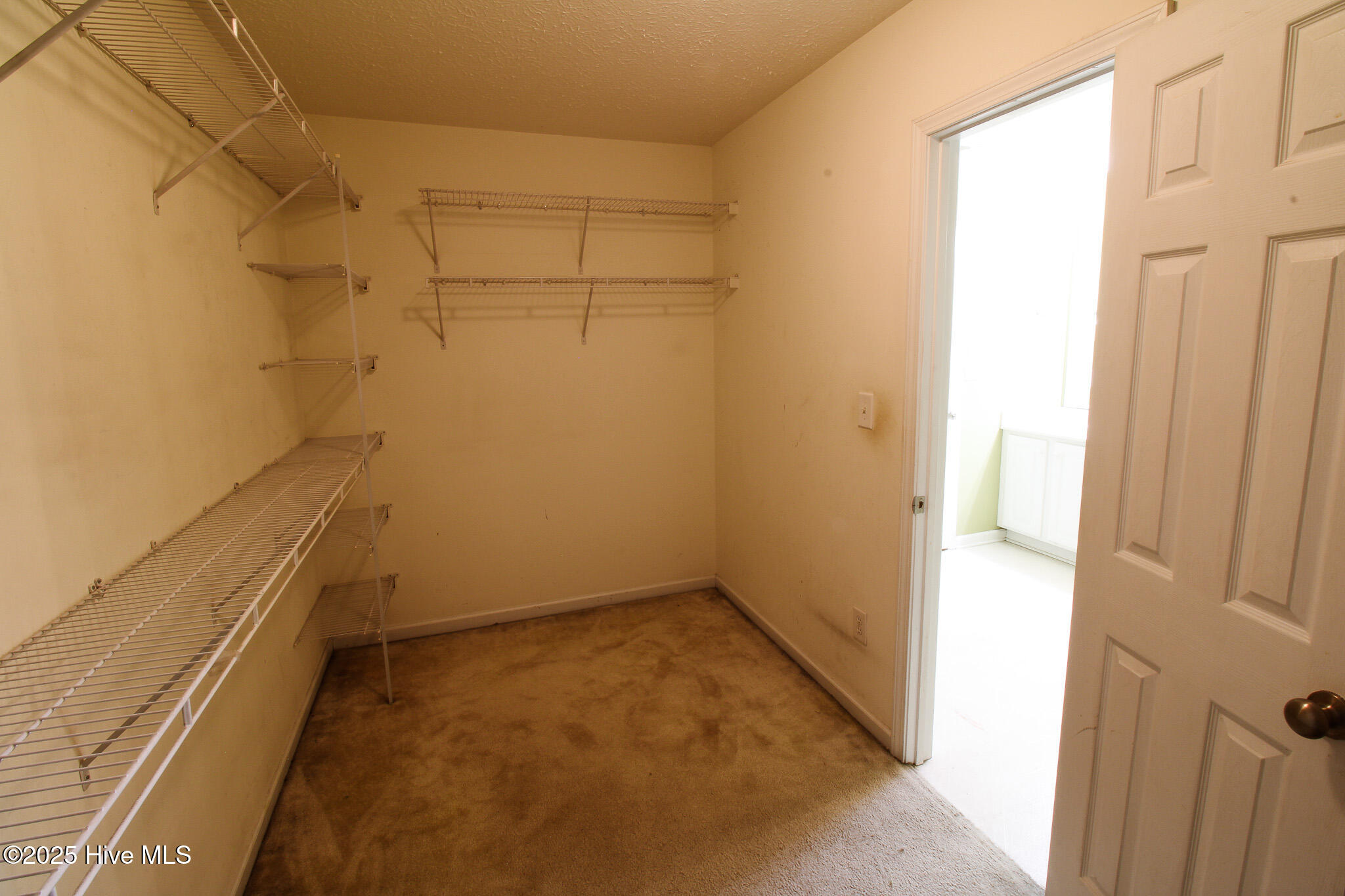 100537575 | Photo 30