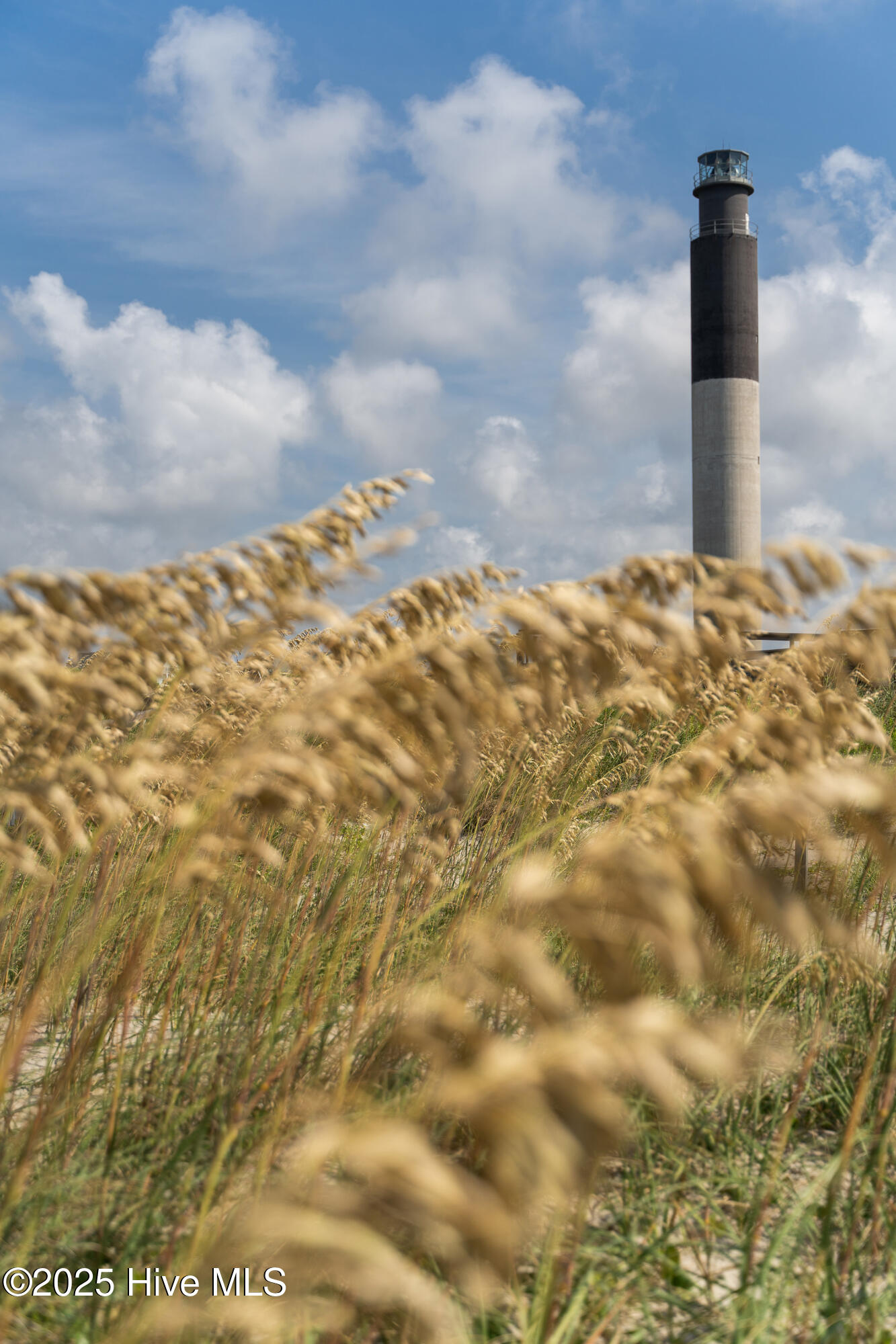 100521768 | Photo 61