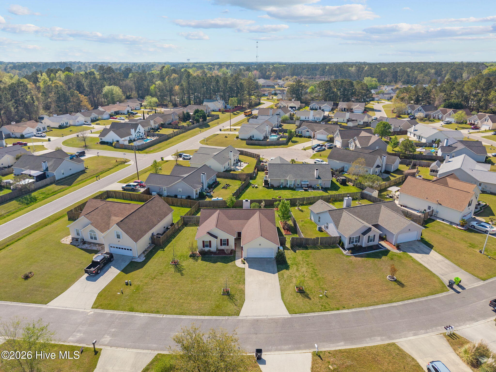 100563369 | Photo 10