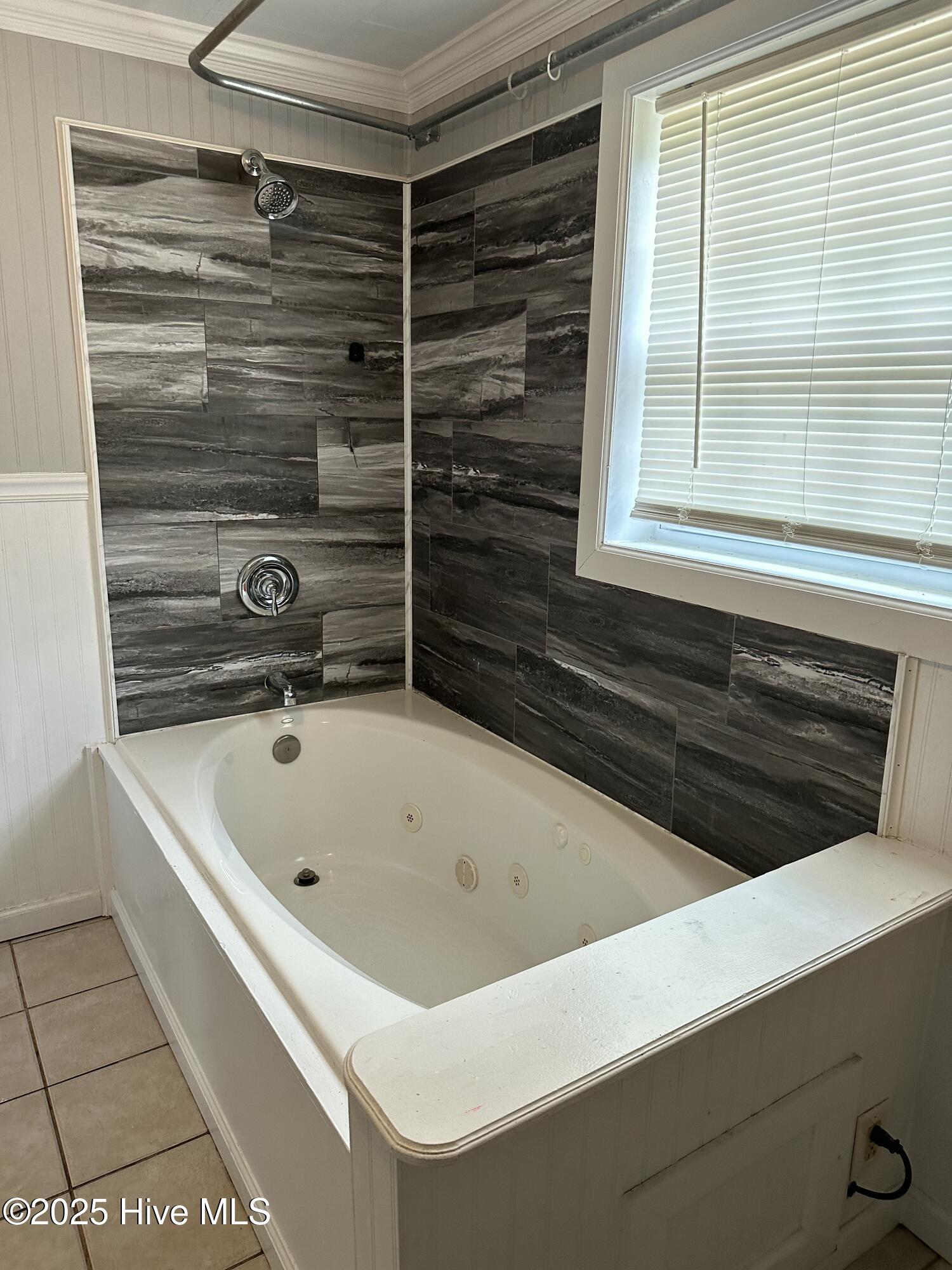 100513996 | Photo 25