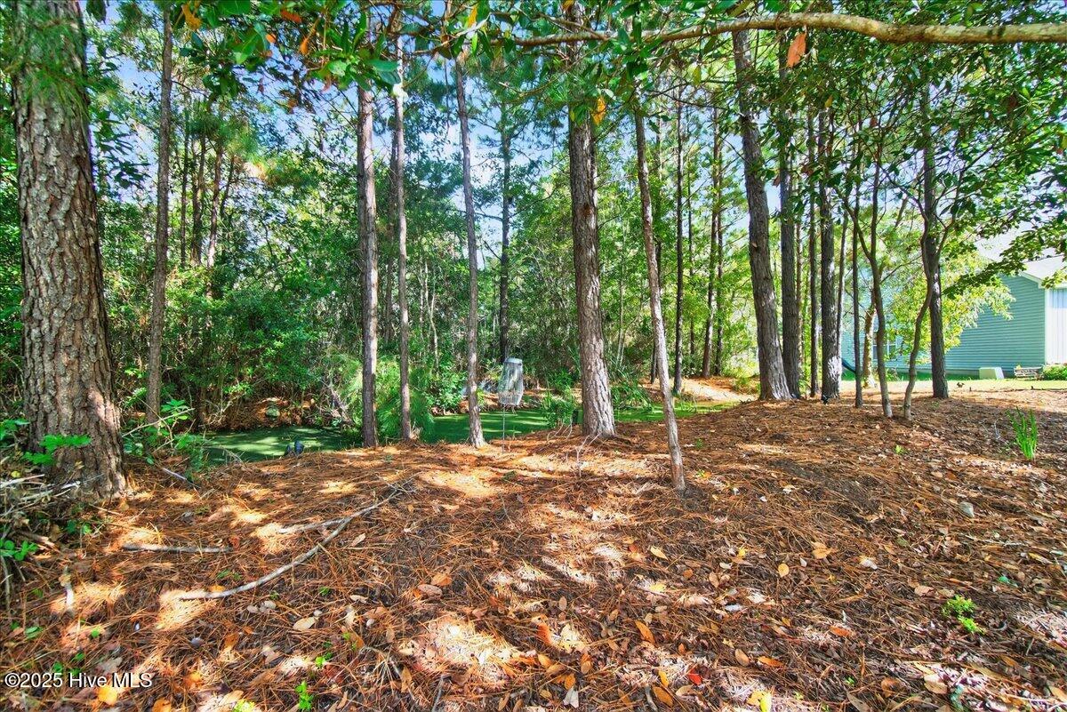 100537745 | Photo 42