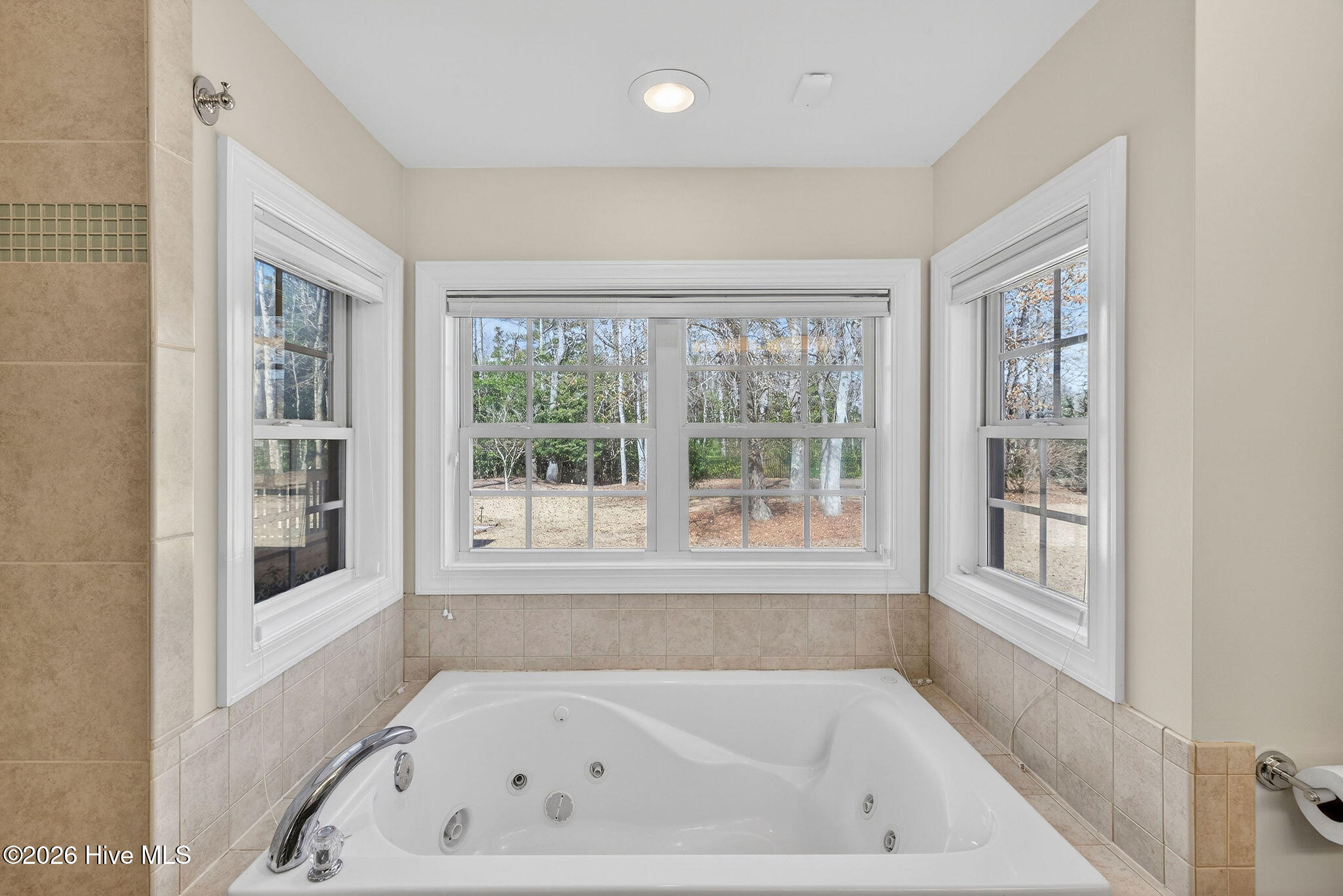 100554466 | Photo 41