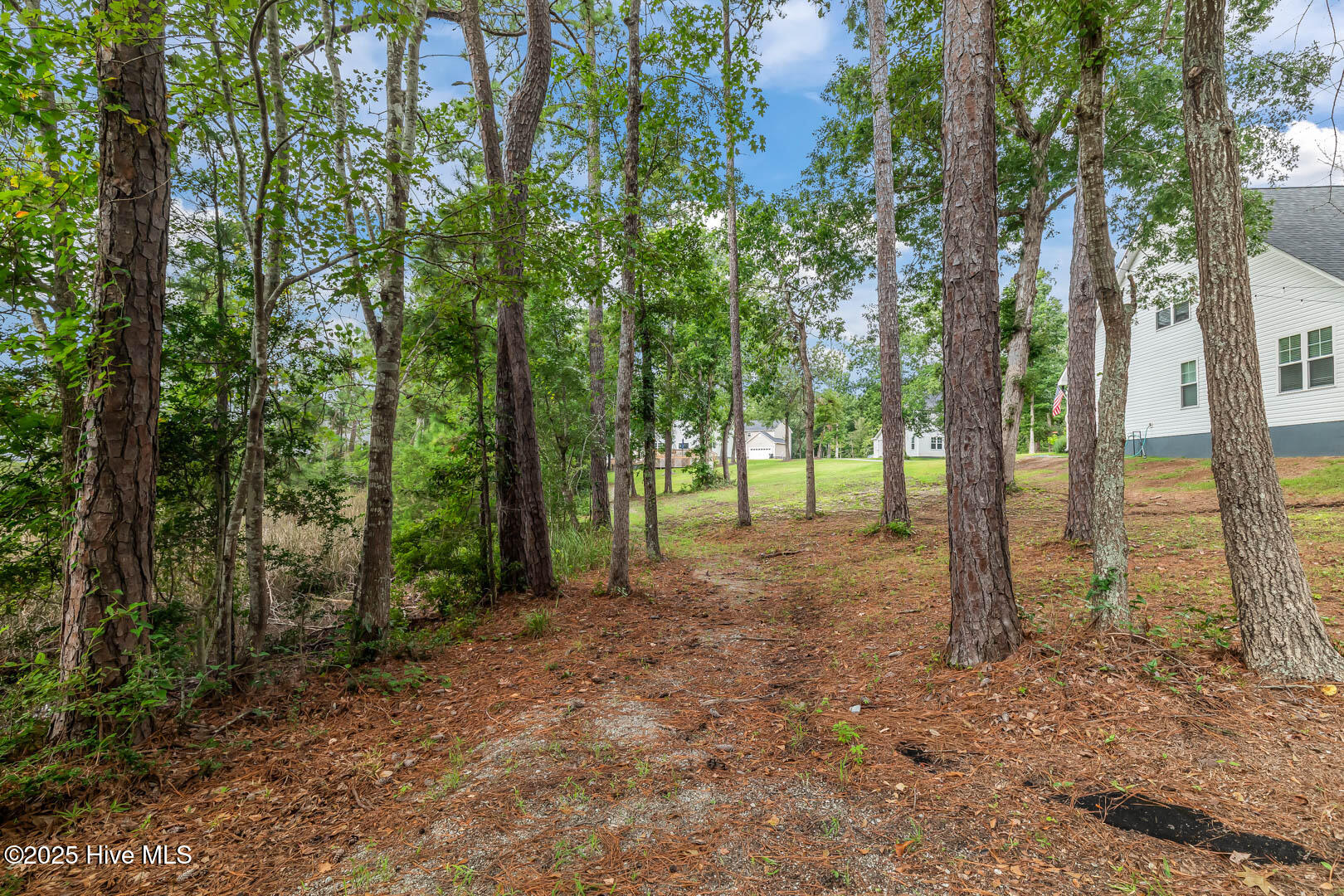 100544097 | Photo 70