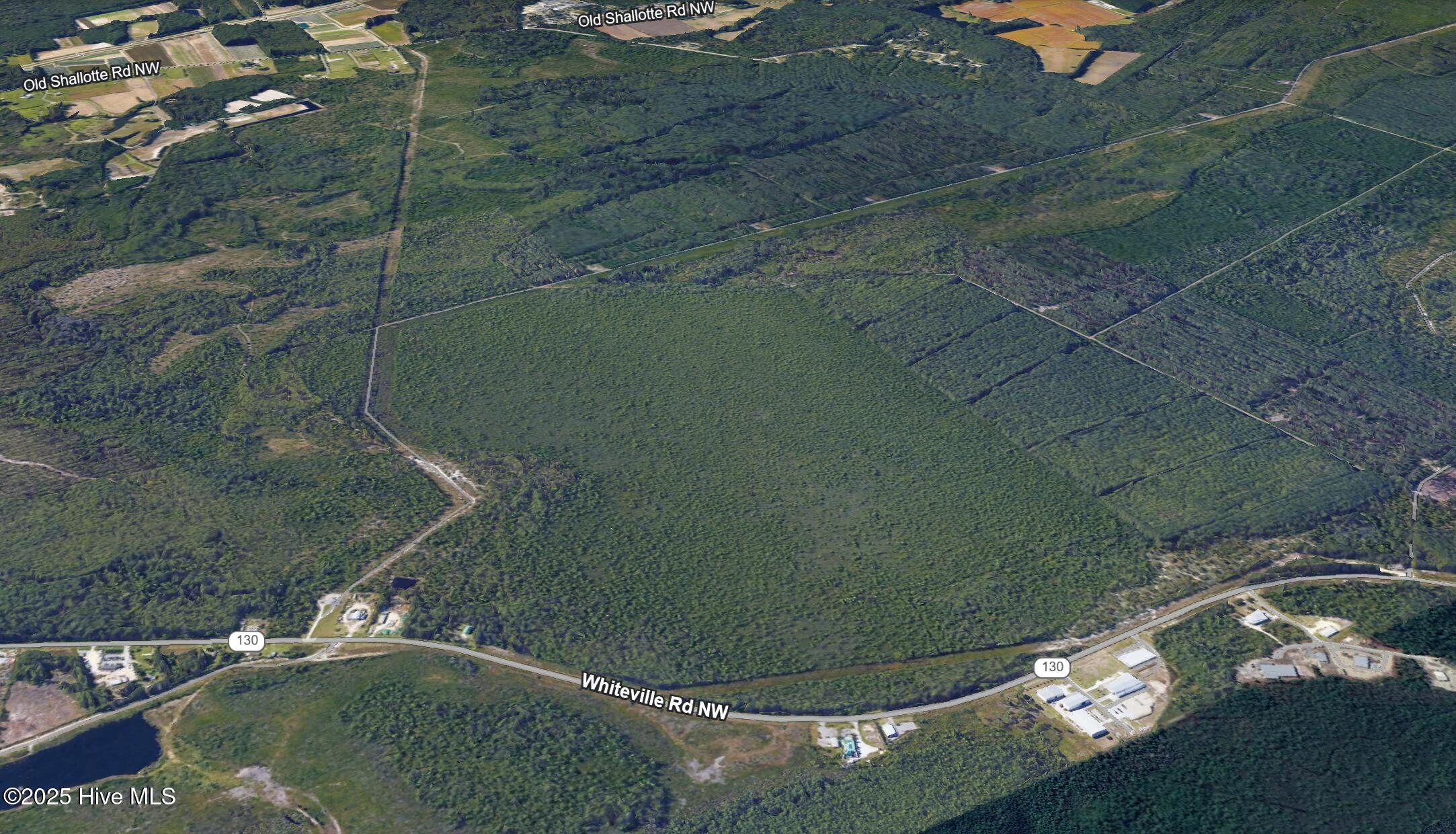 100502358 | Photo 10