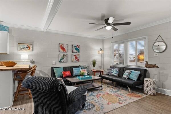 100557665 | Photo 16