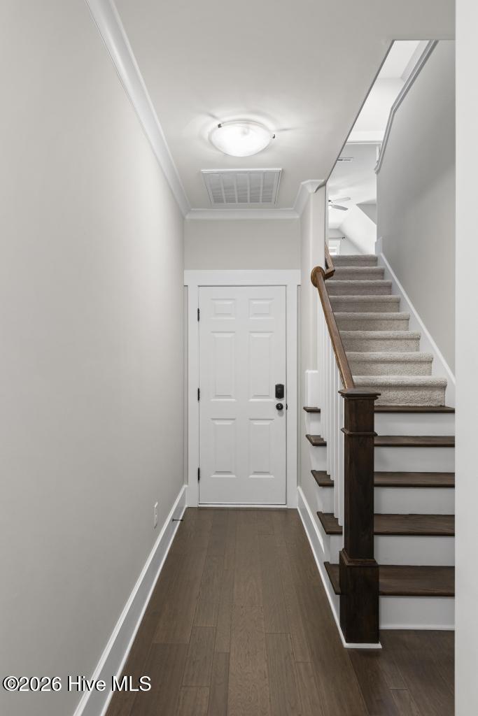 100558898 | Photo 28