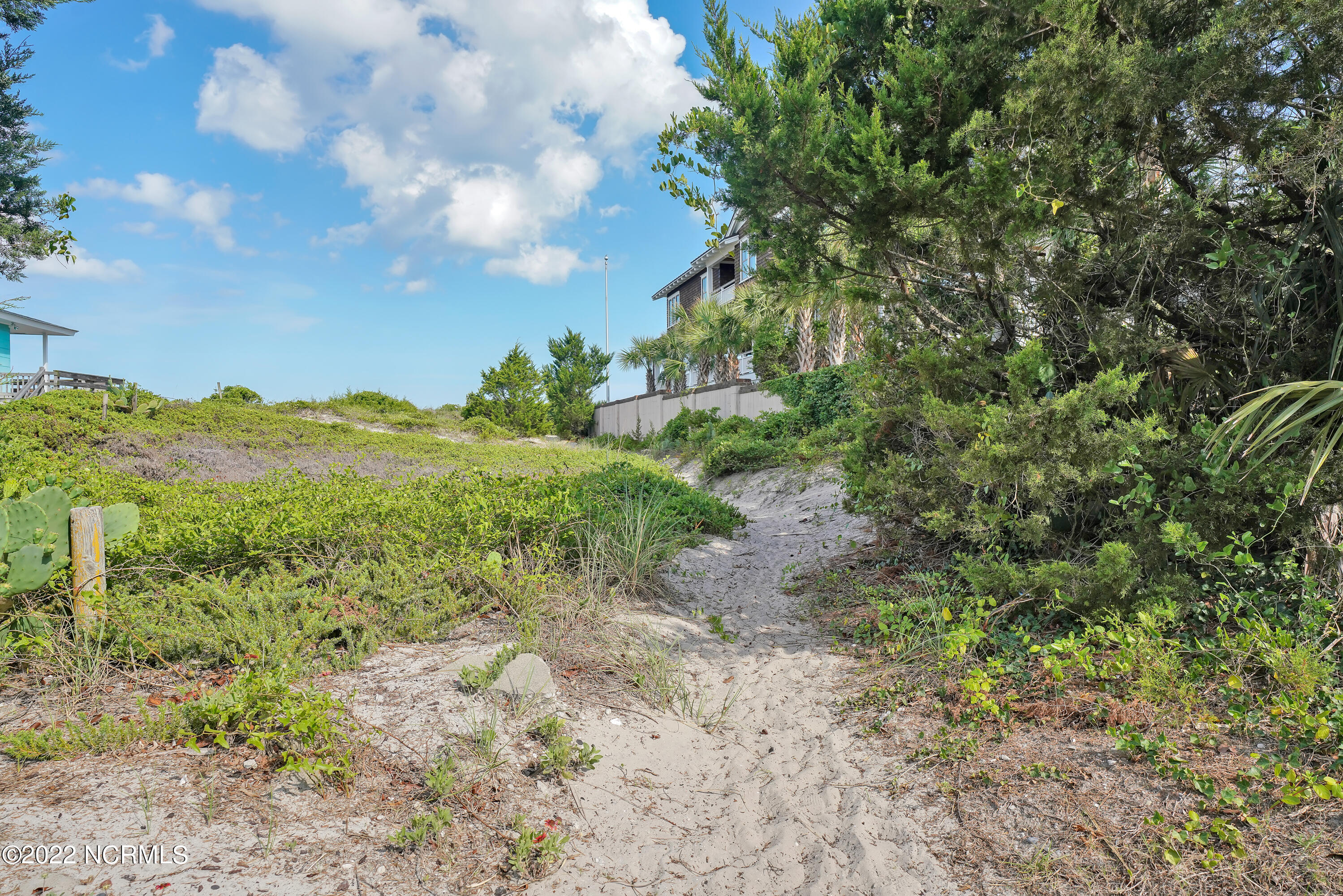 100462193 | Photo 74