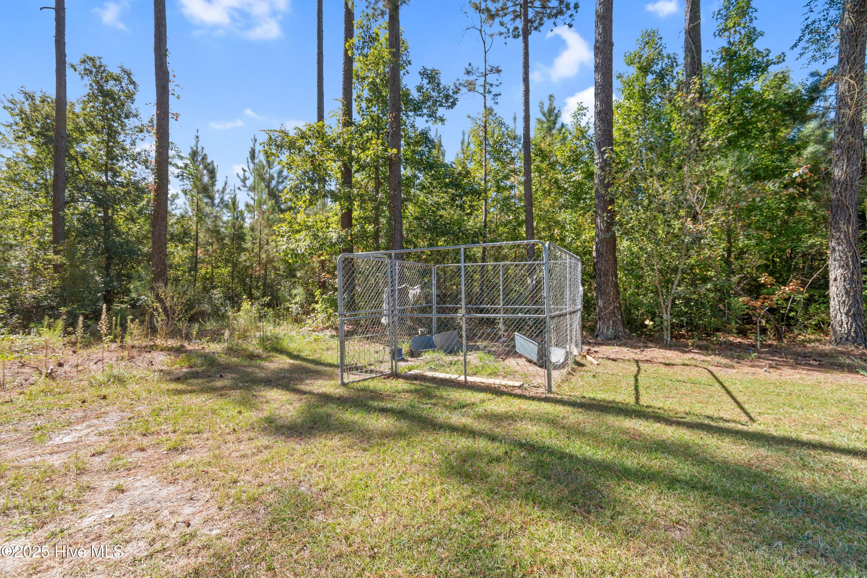 100532696 | Photo 28