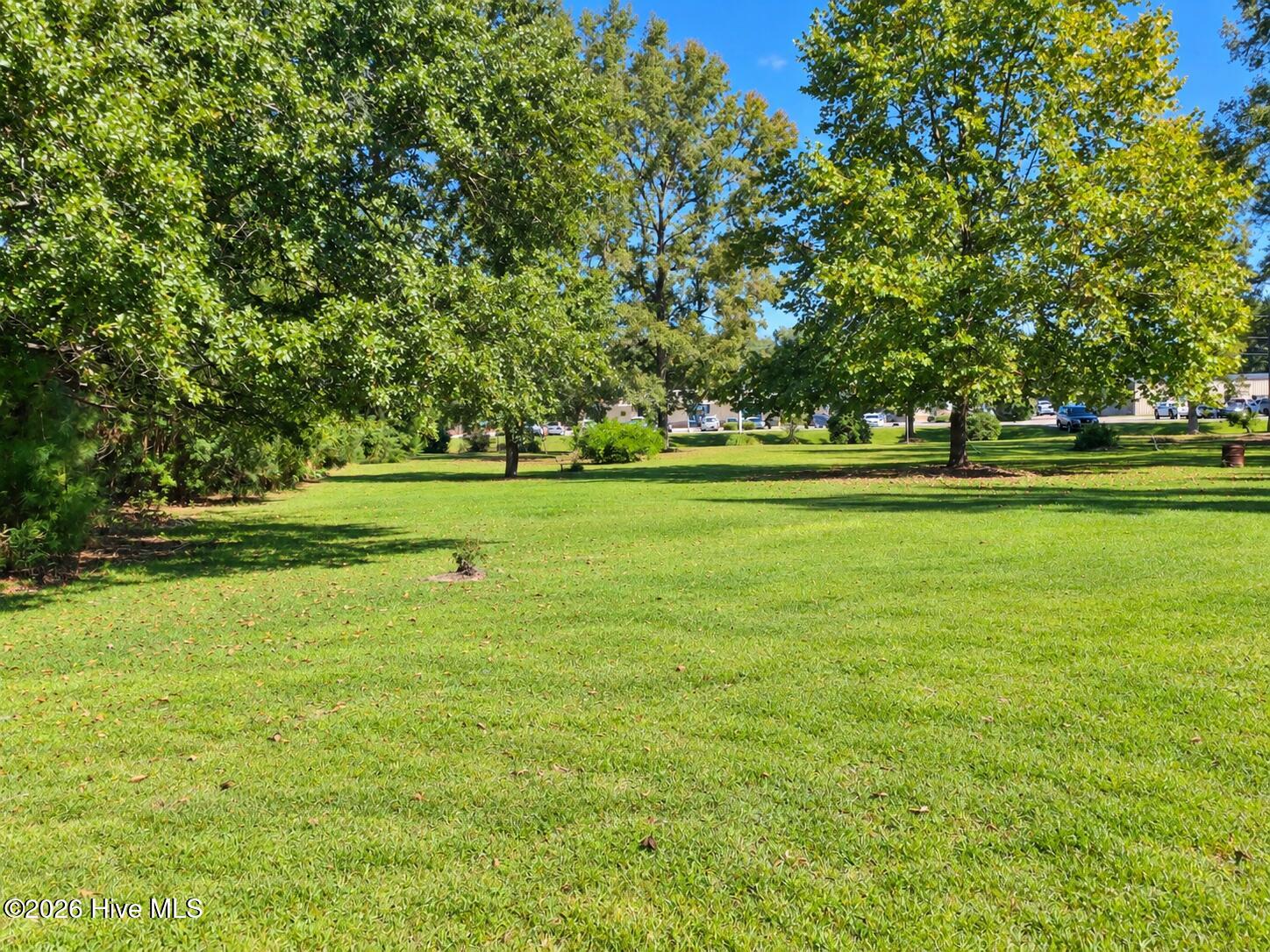 100609238 | Photo 2