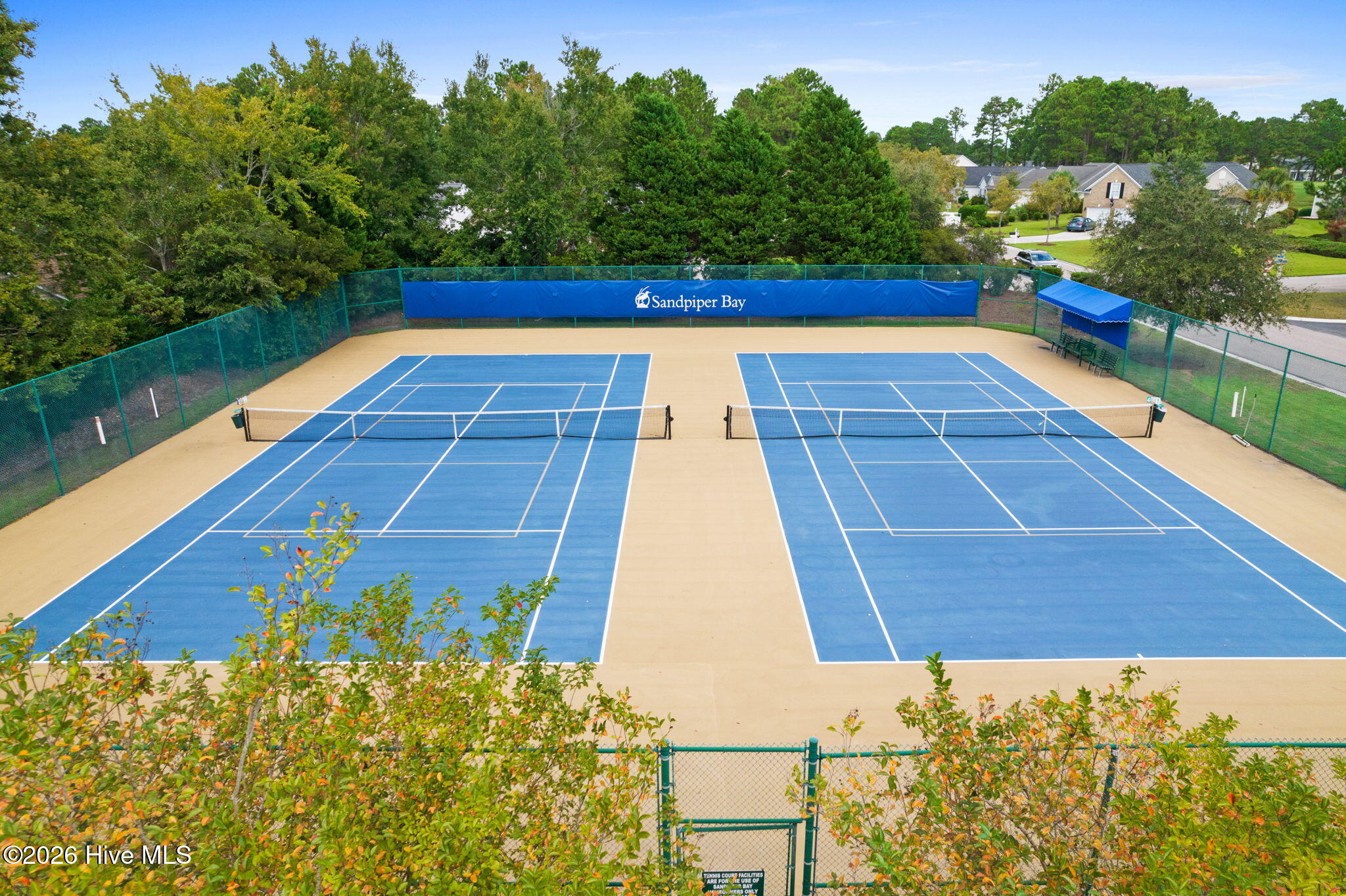 100559381 | Photo 37