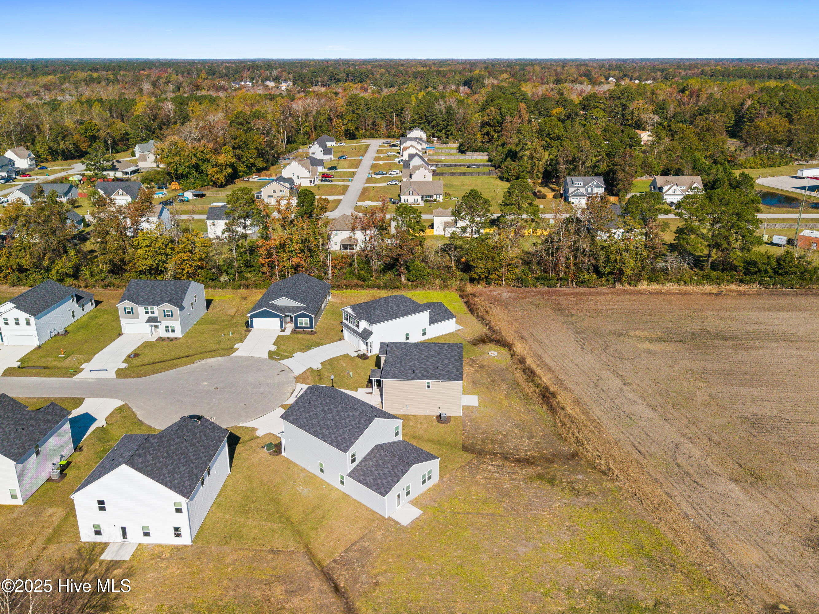 100533510 | Photo 34