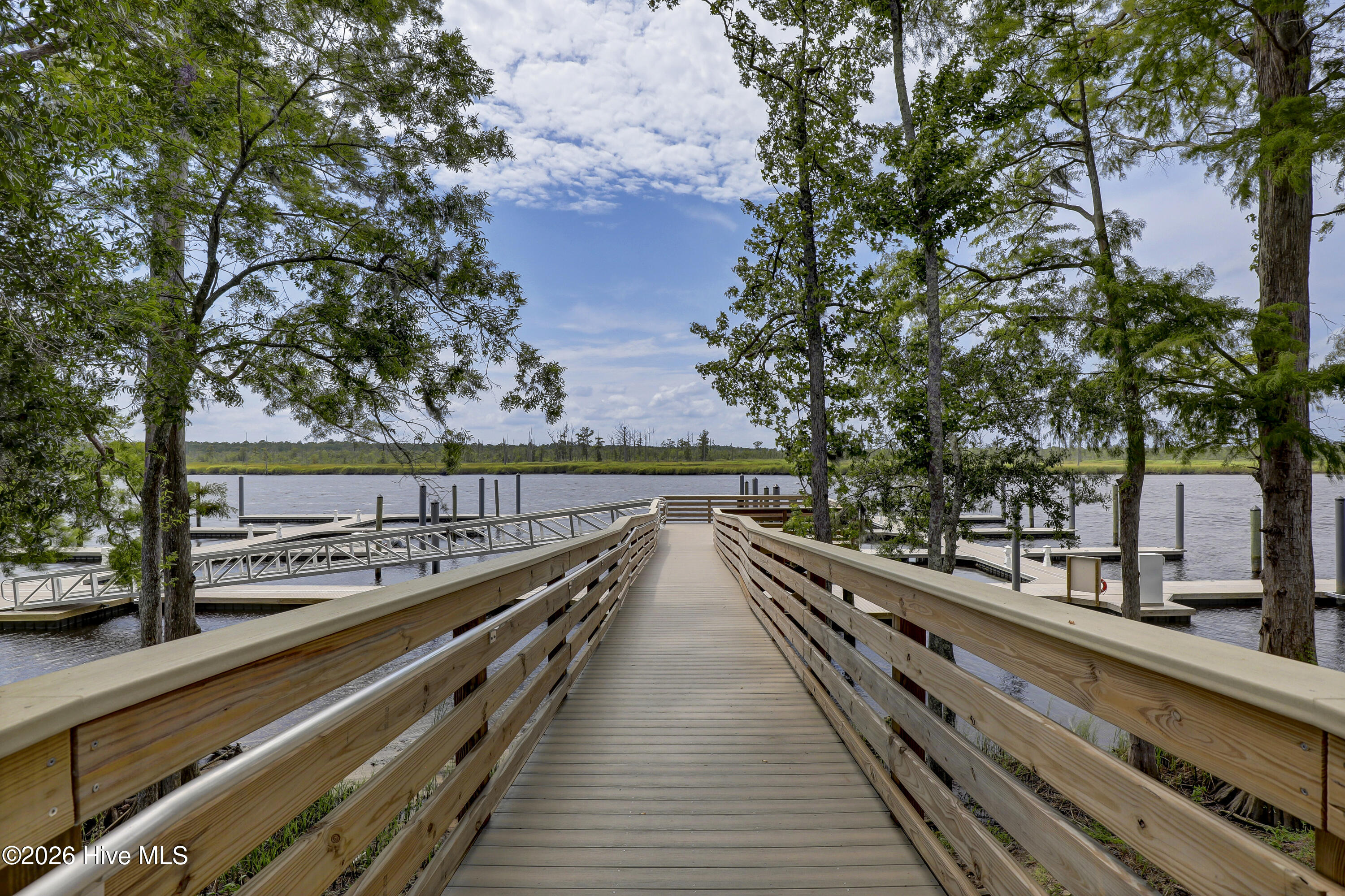 100548611 | Photo 47