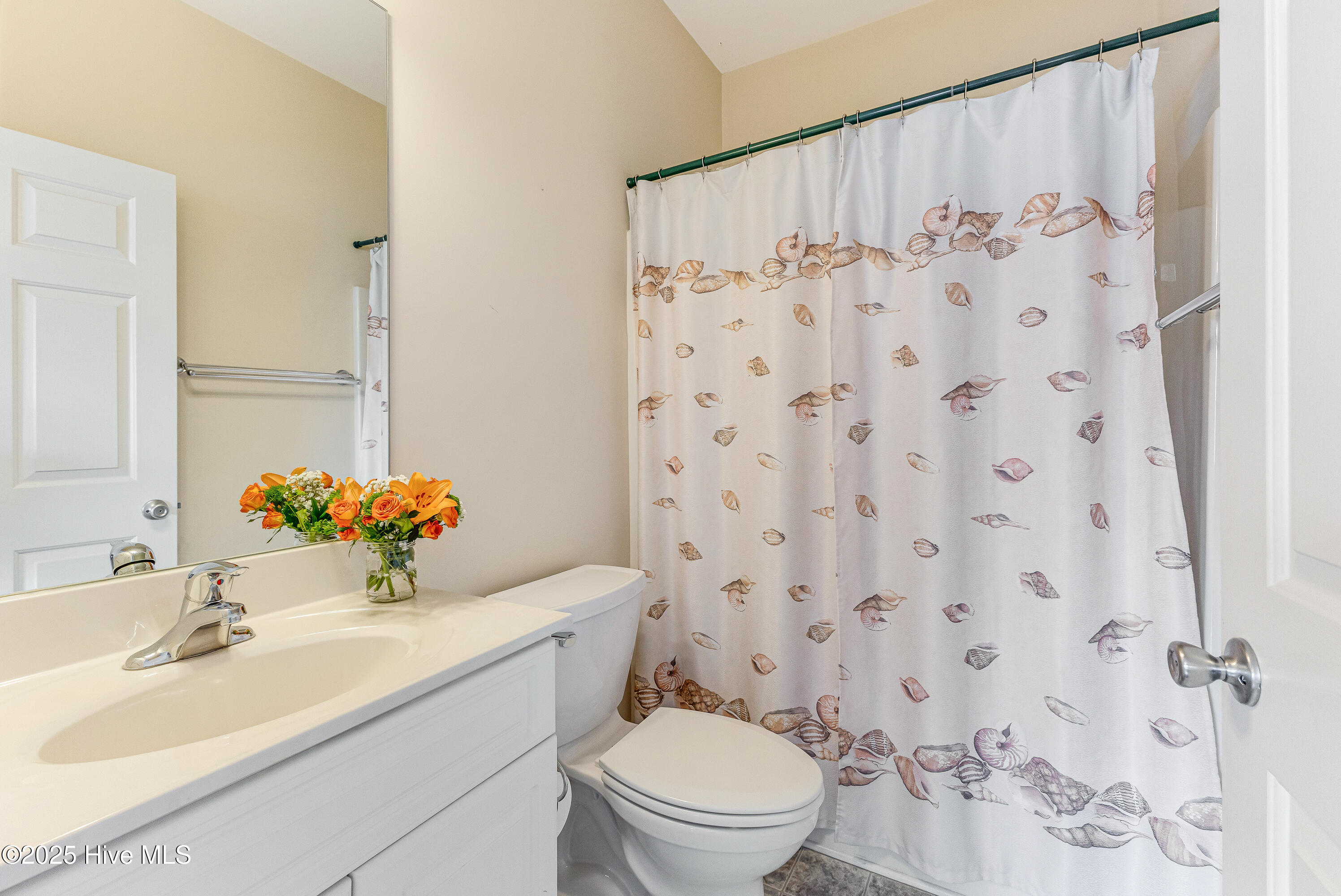 100537164 | Photo 11