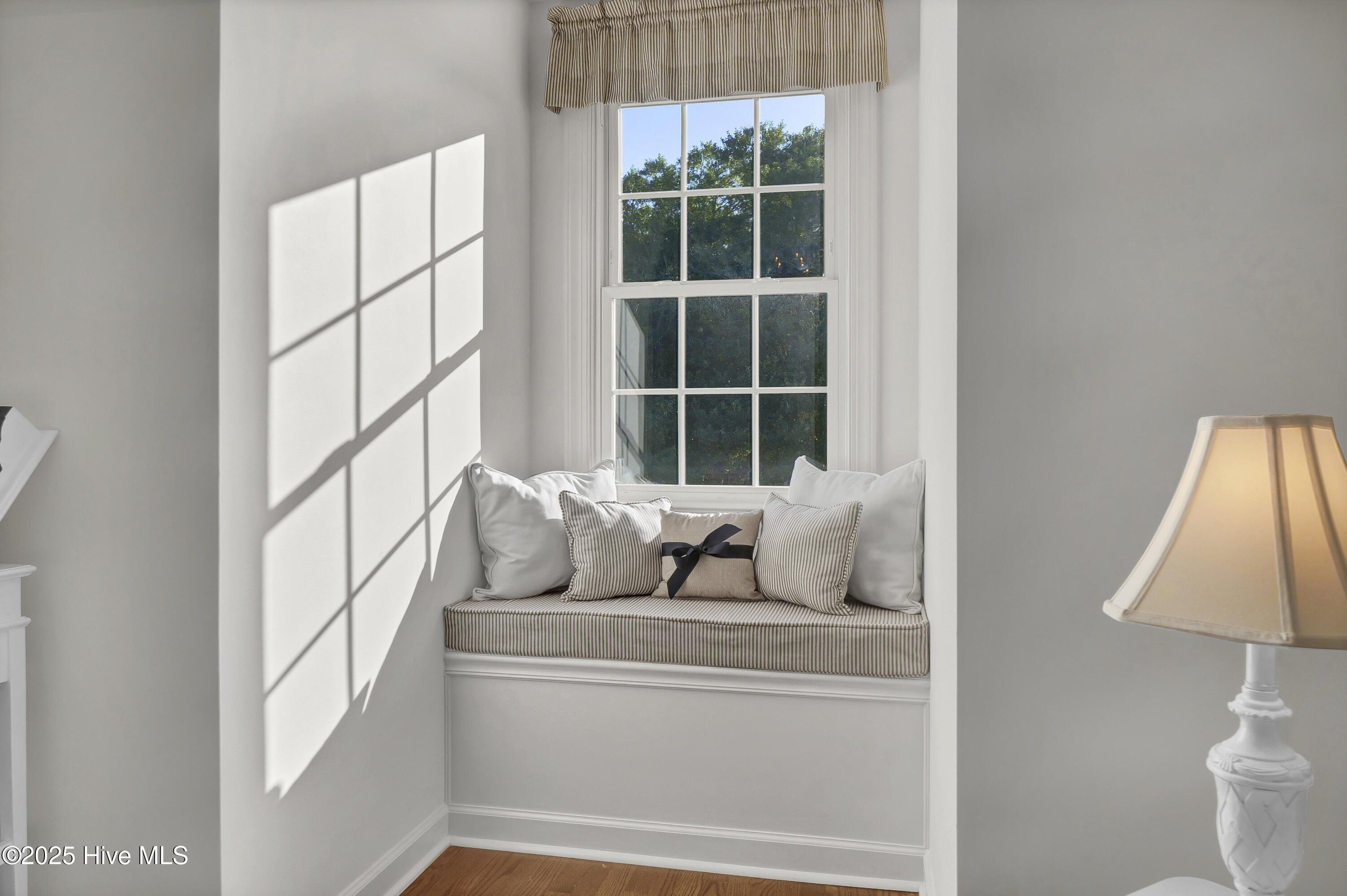 100541341 | Photo 52