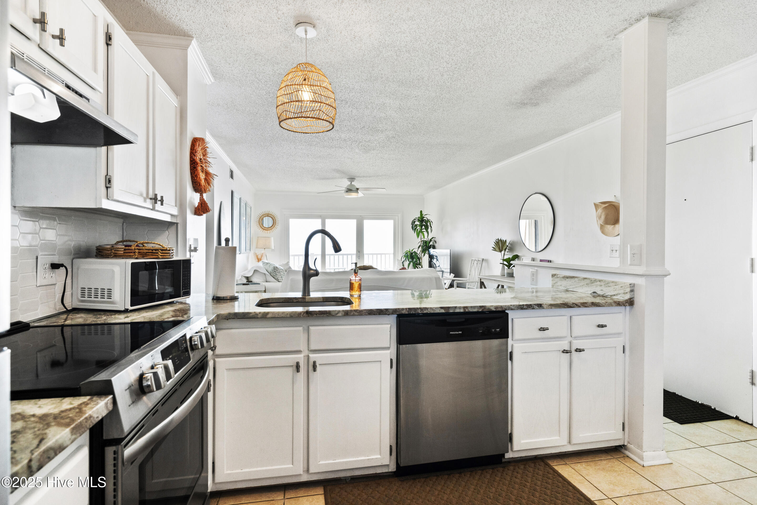 100529356 | Photo 14